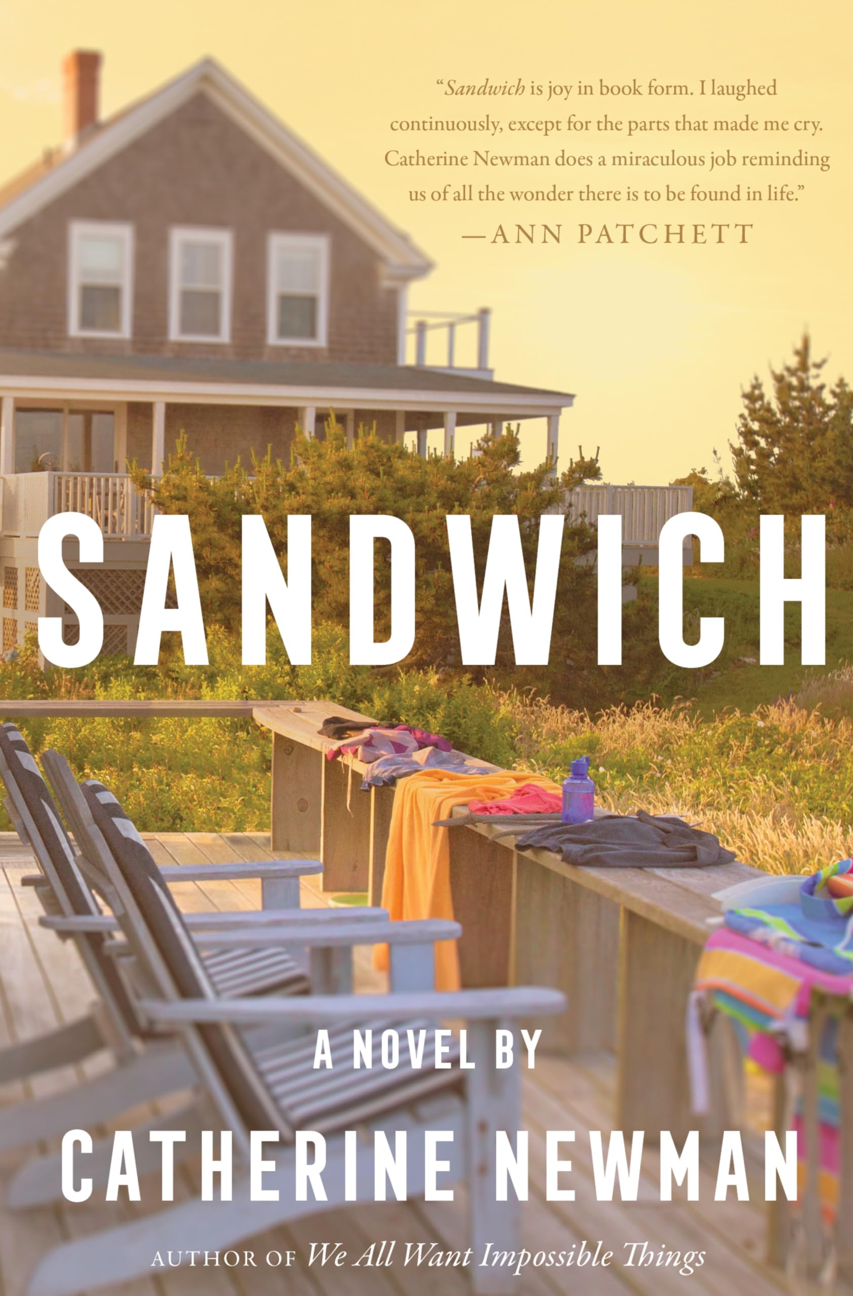 Sandwich: A Novel — used book cover