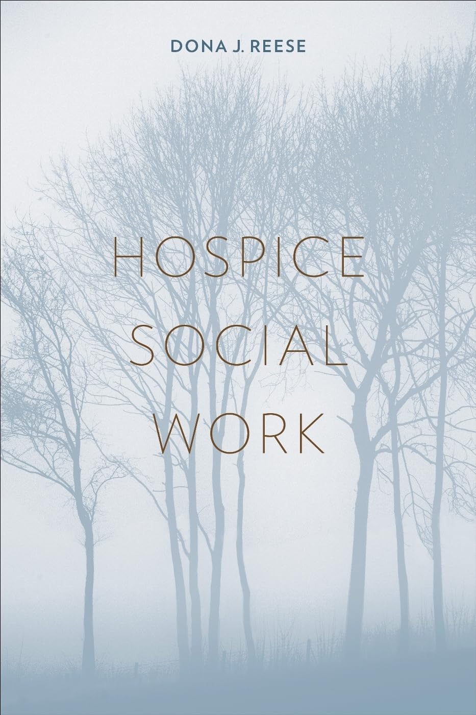 Hospice Social Work (End-of-Life Care — used book cover