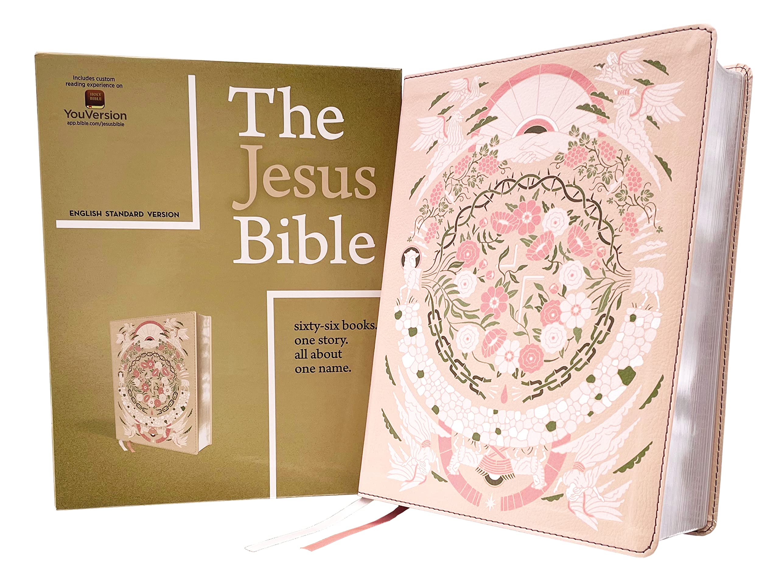 The Jesus Bible Artist Edition, ESV, Leathersoft, Peach Floral — used book cover