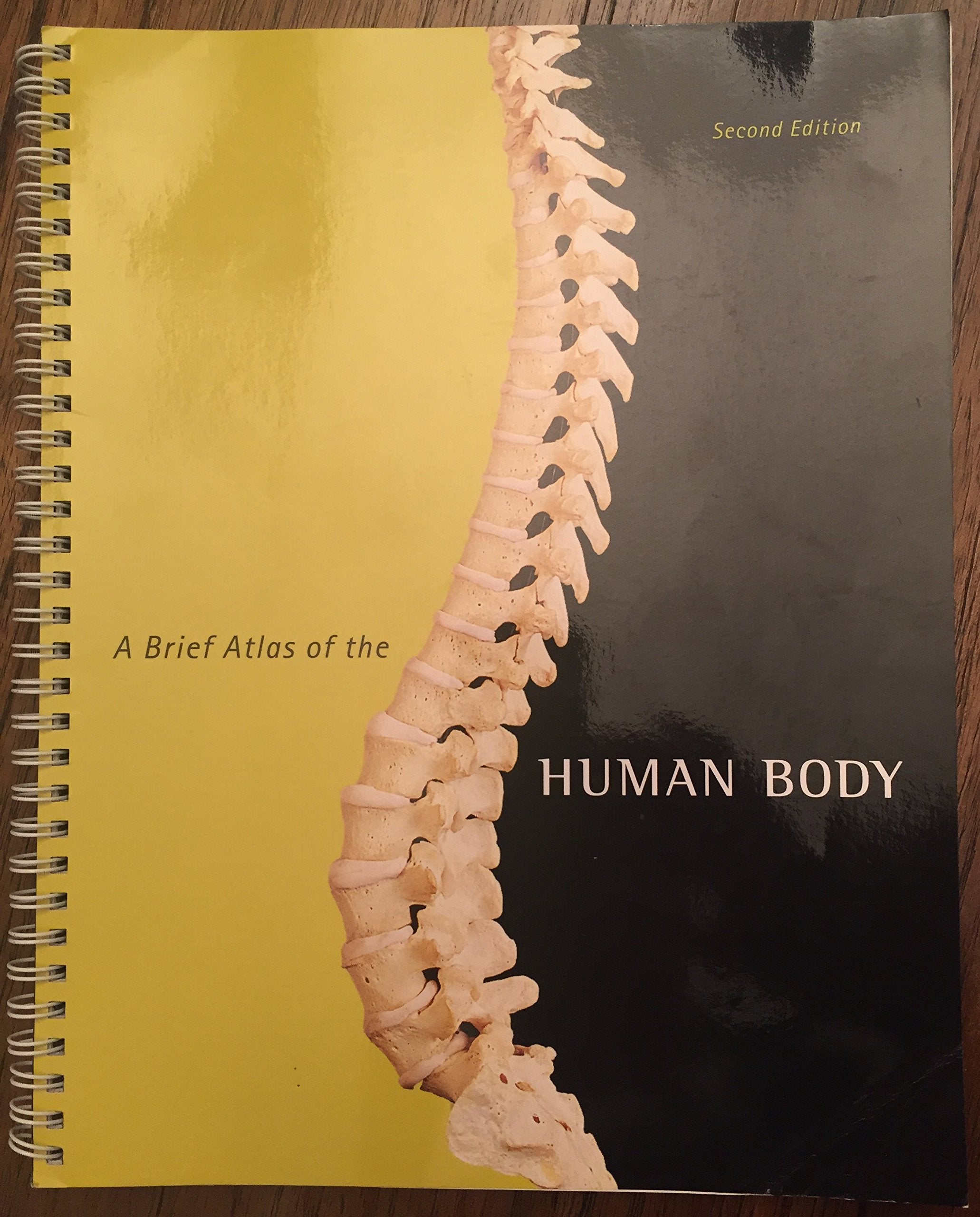 Brief Atlas of the Human Body, A — used book cover