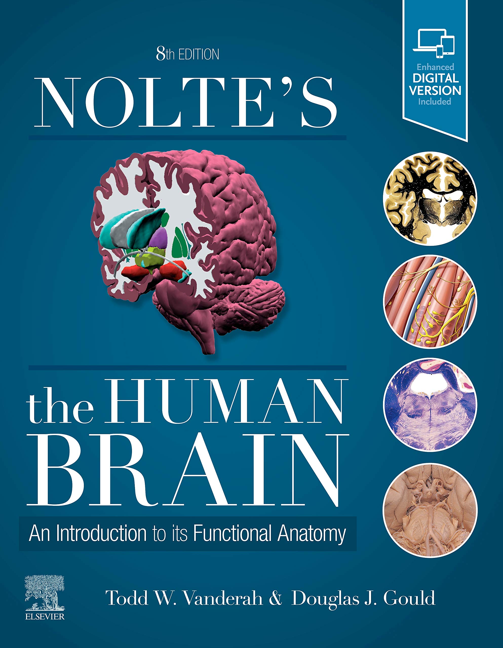 Nolte&