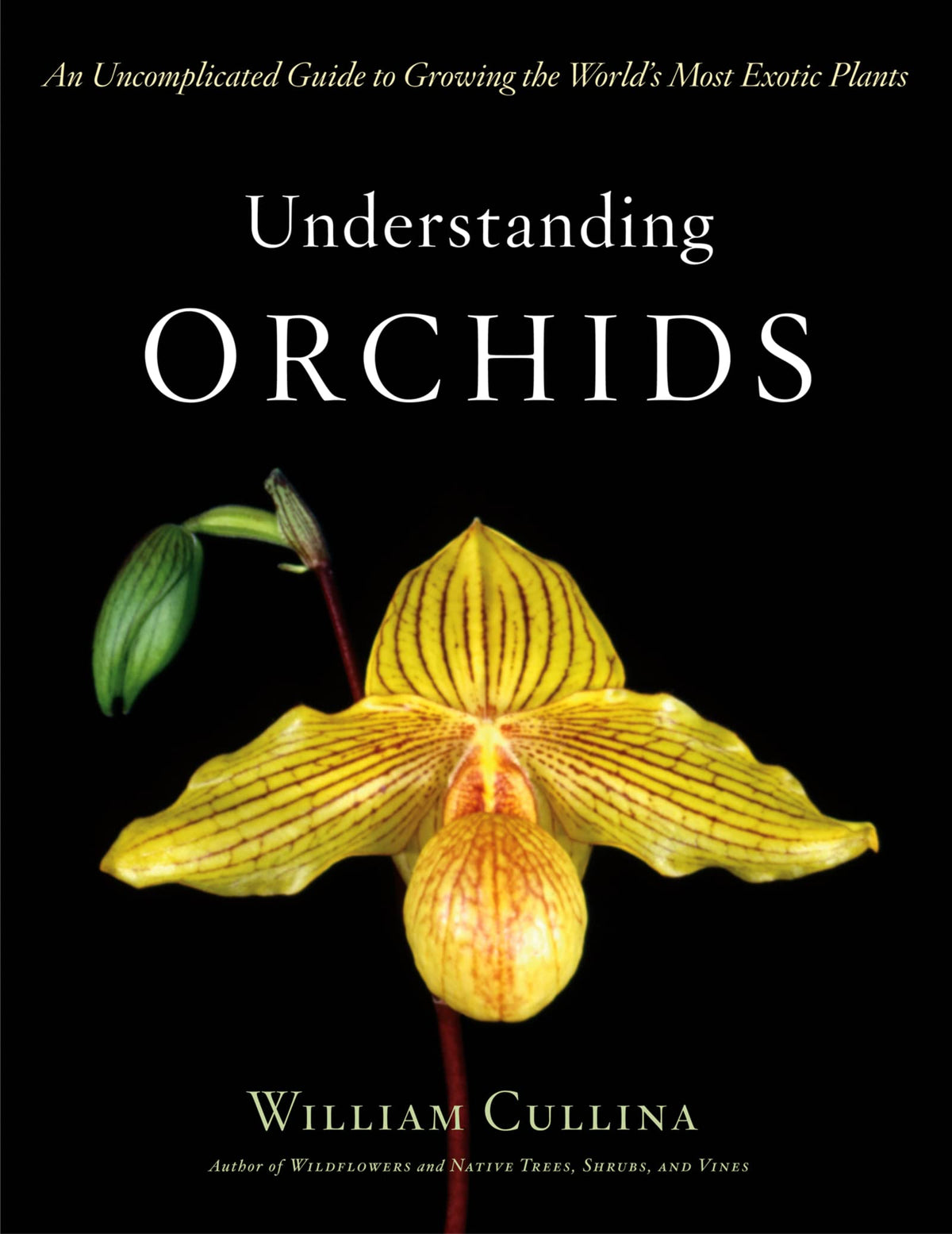 Understanding Orchids: An Uncomplicated Guide to Growing the World&