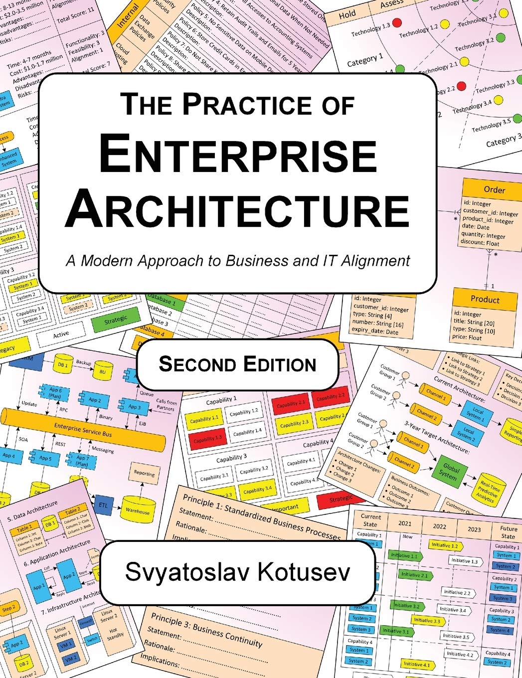The Practice of Enterprise Architecture — used book cover