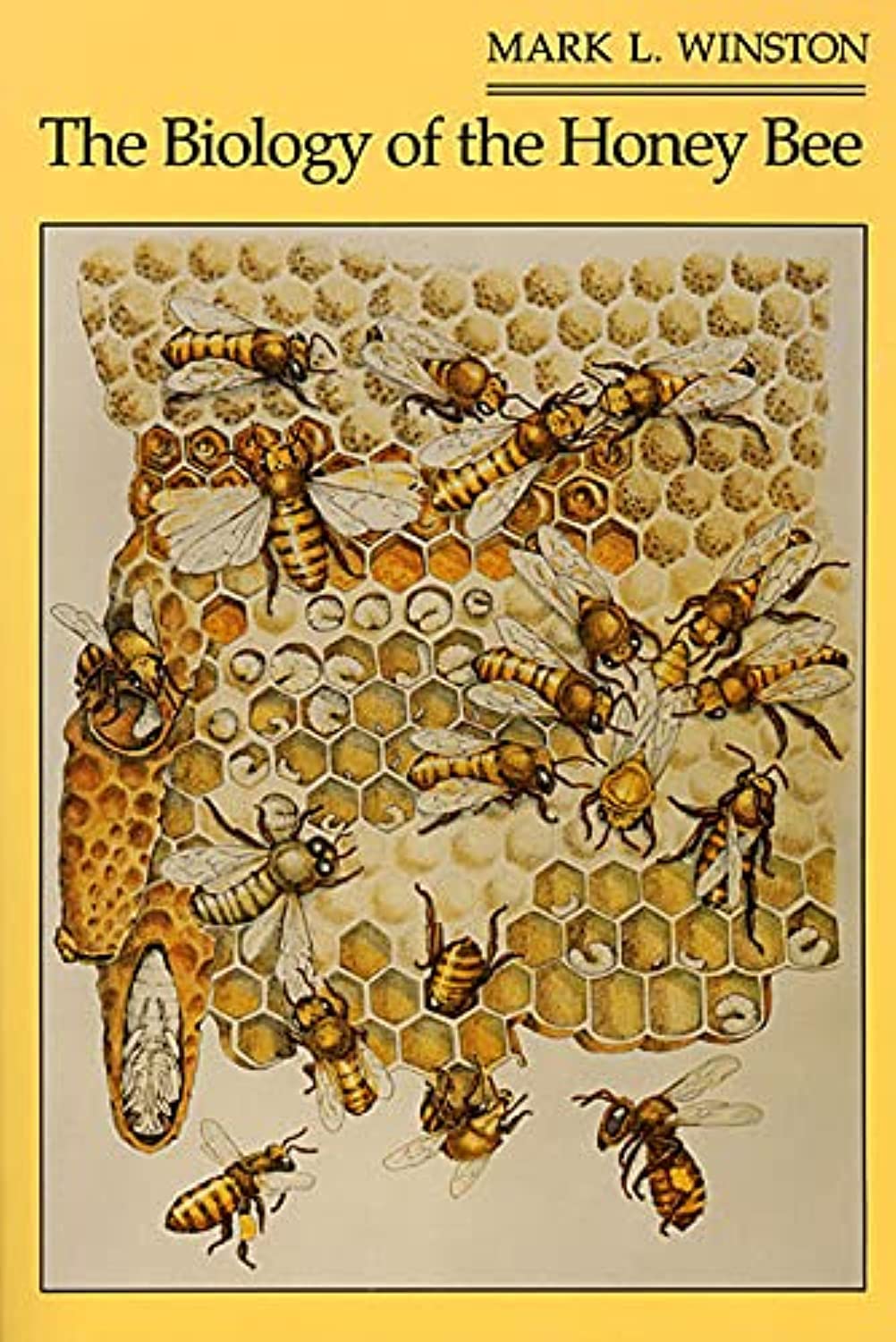 The Biology of the Honey Bee — used book cover