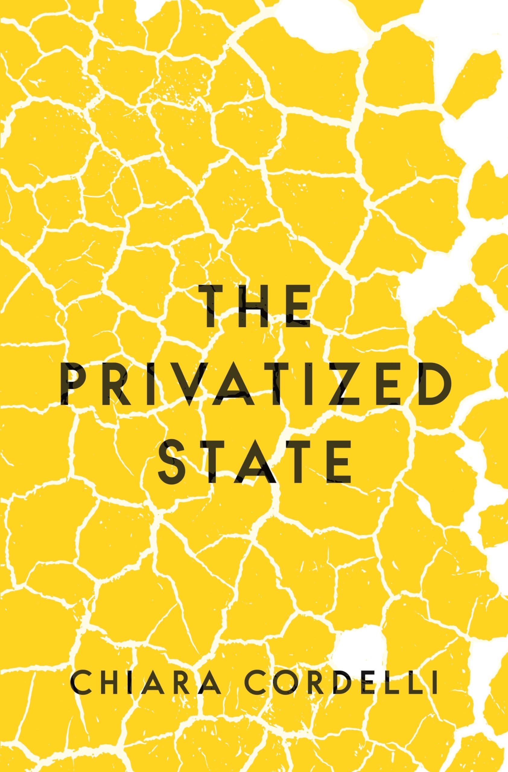 The Privatized State — used book cover