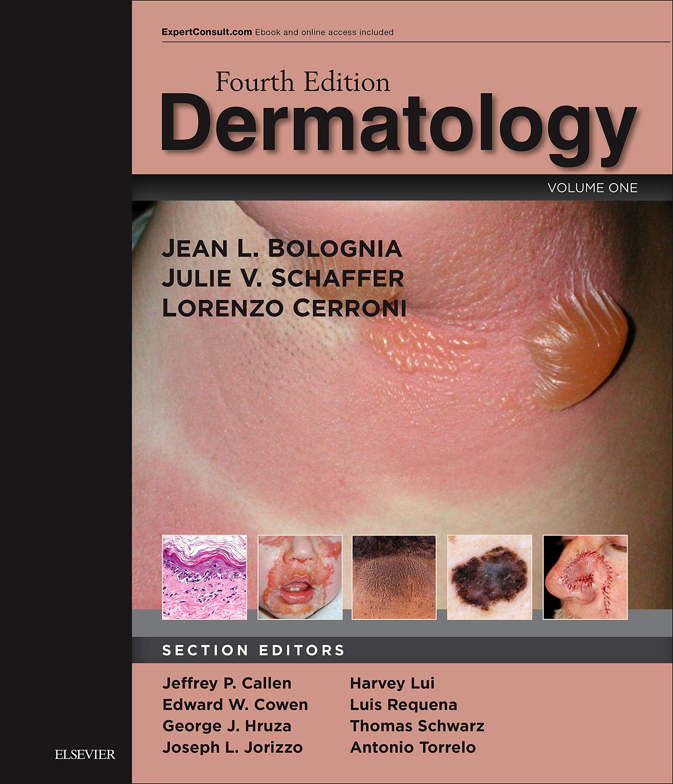 Dermatology: 2-Volume Set — used book cover