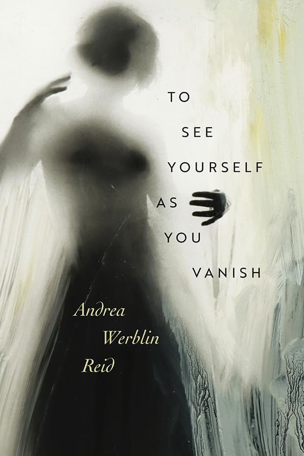 To See Yourself As You Vanish — used book cover