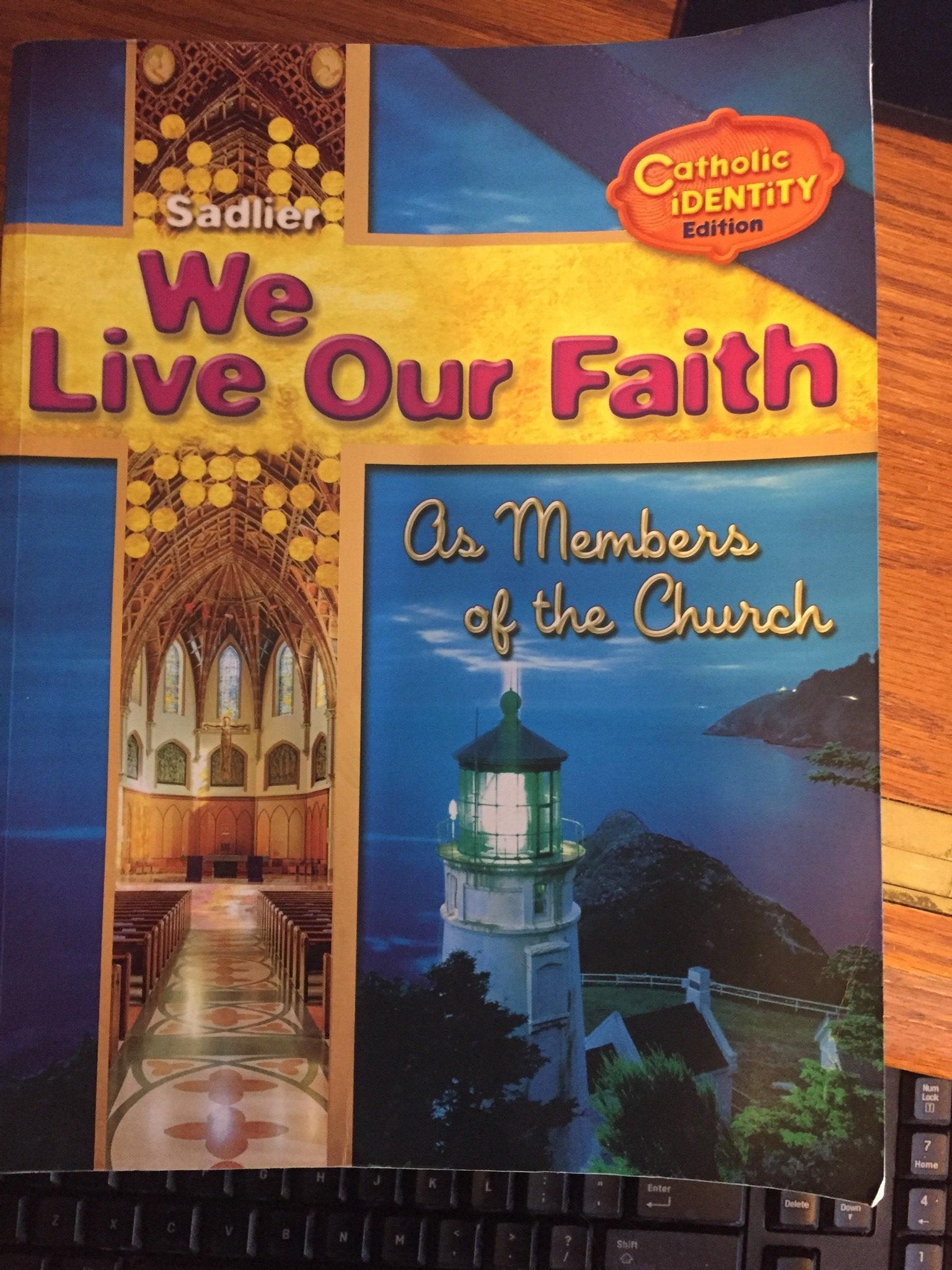 We Live Our Faith As Members of the Church Catholic Identity Edition Vol 2 — used book cover
