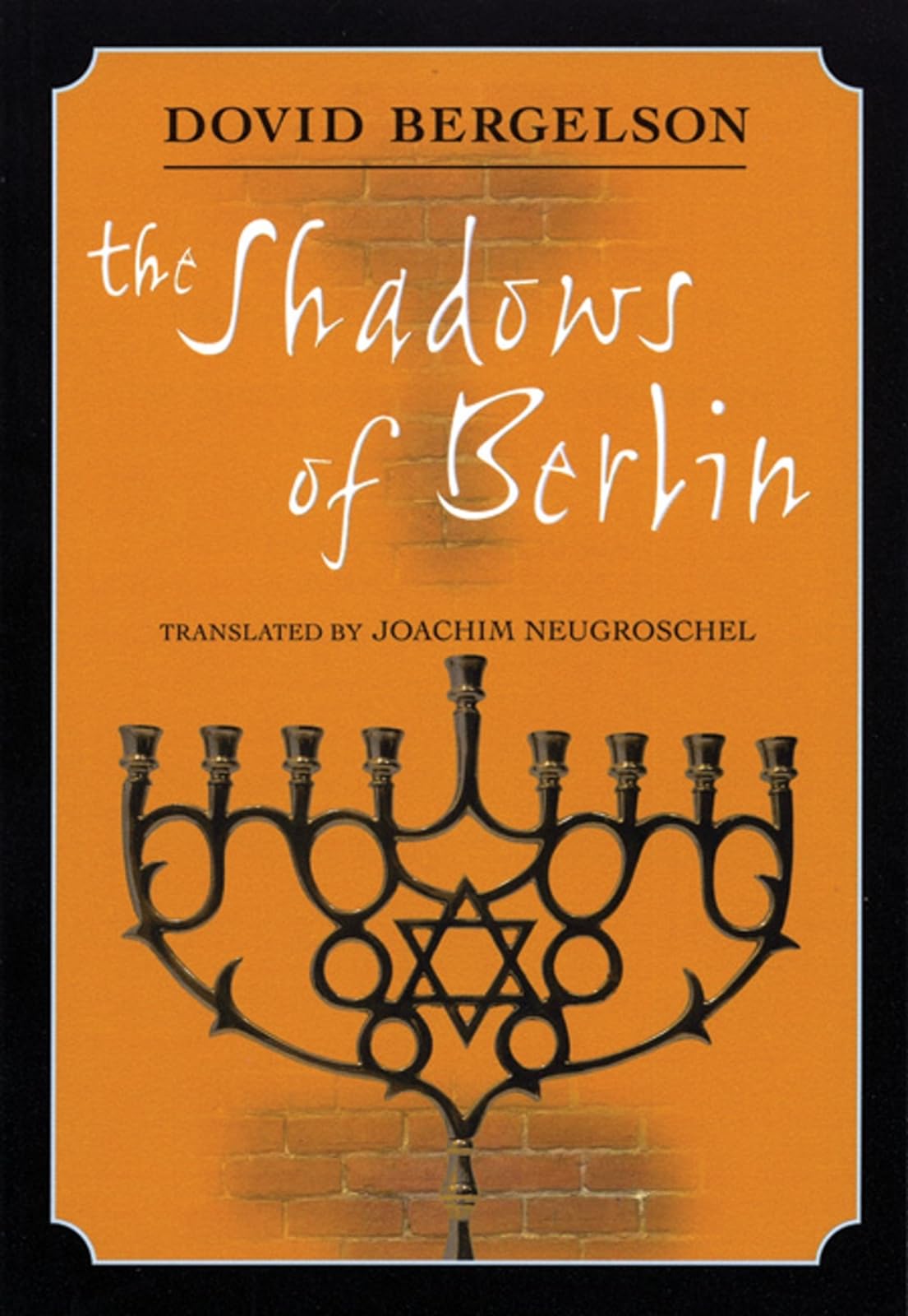The Shadows of Berlin — used book cover