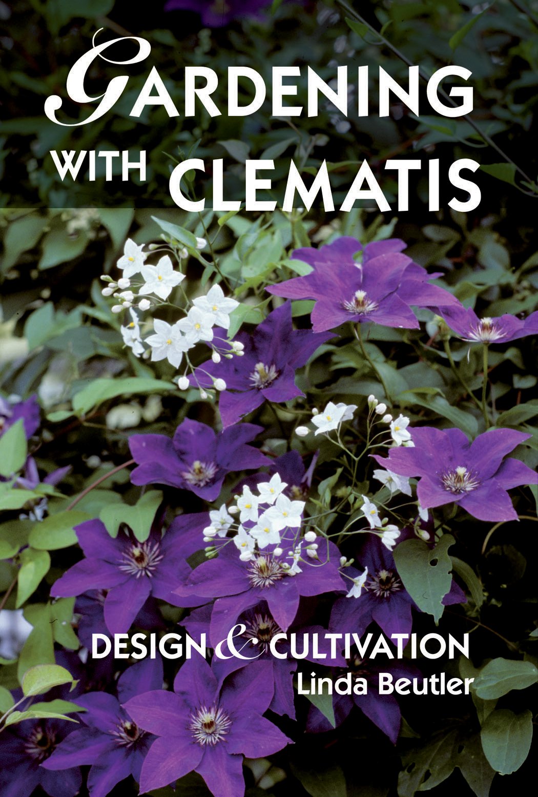Gardening With Clematis: Design & Cultivation