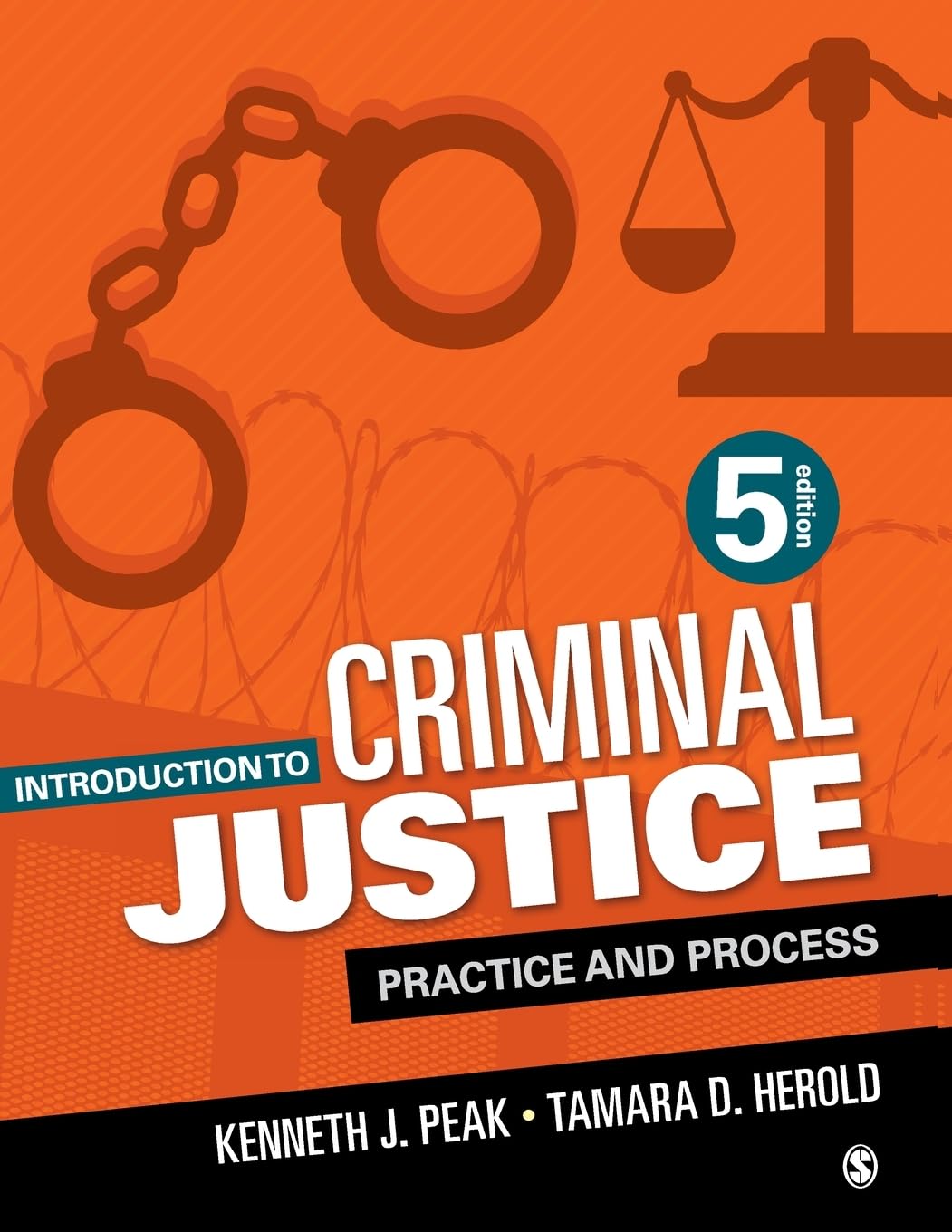 Introduction to Criminal Justice: Practice and Process