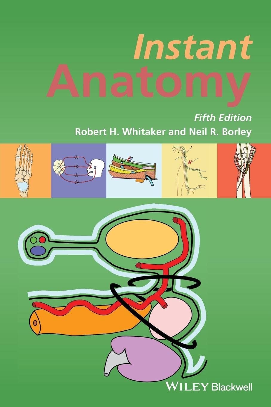 Instant Anatomy — used book cover