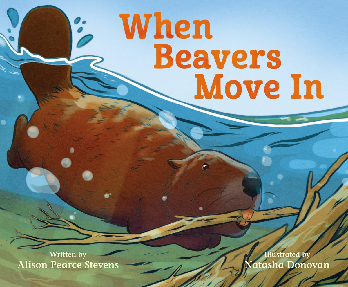 When Beavers Move In