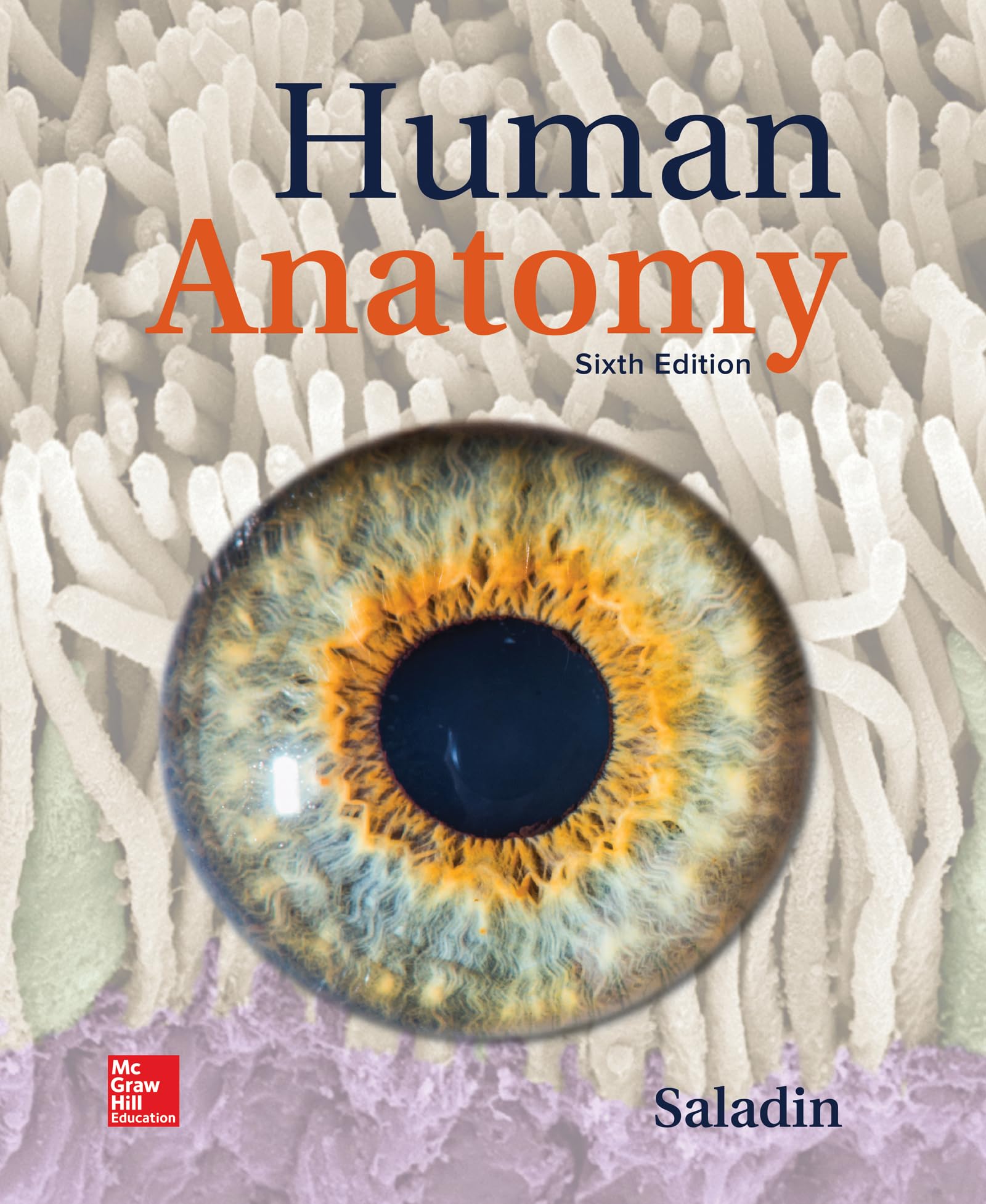 Loose Leaf for Saladin Human Anatomy — used book cover