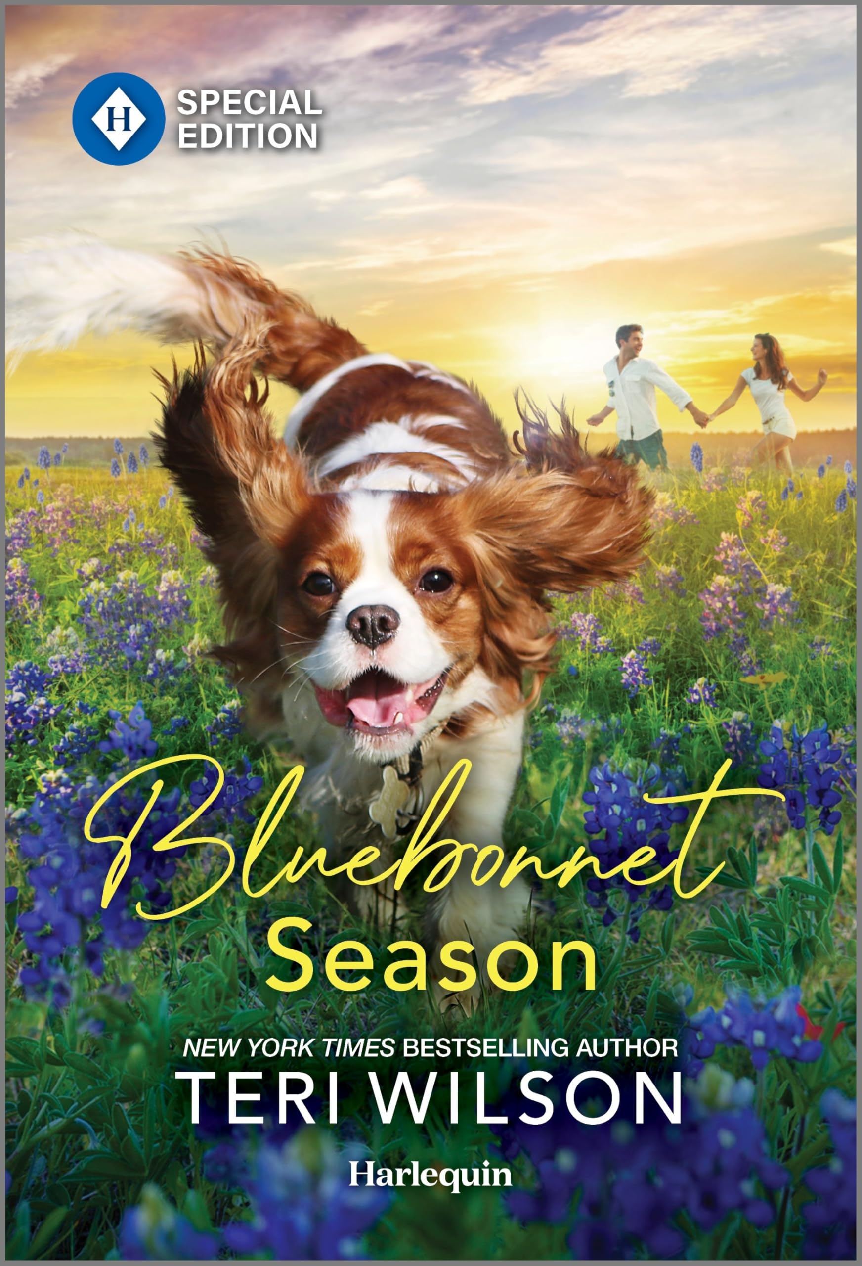 Bluebonnet Season: A Canine Connection that Leads to Romance — used book cover