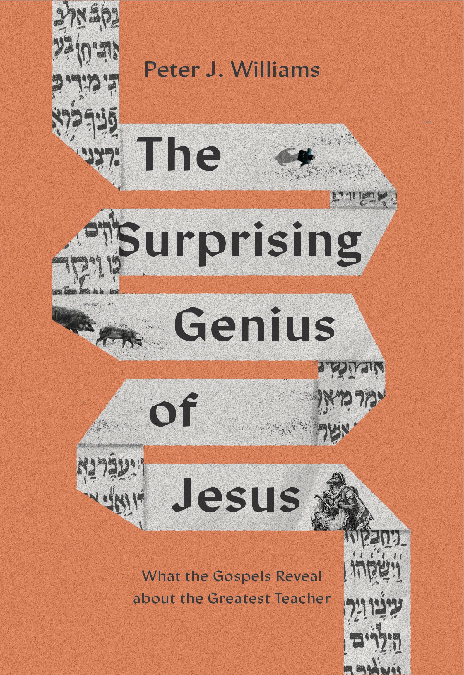The Surprising Genius of Jesus — used book cover