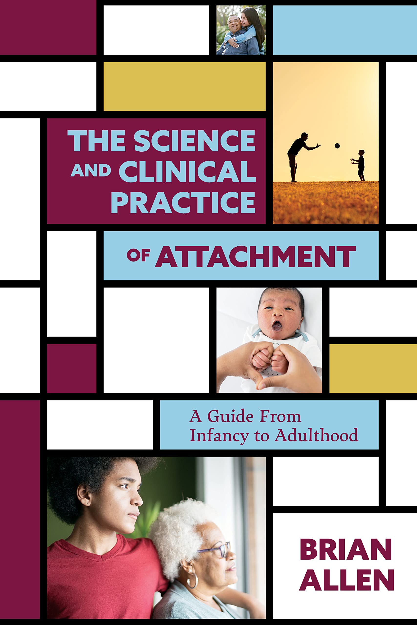 The Science and Clinical Practice of Attachment Theory — used book cover