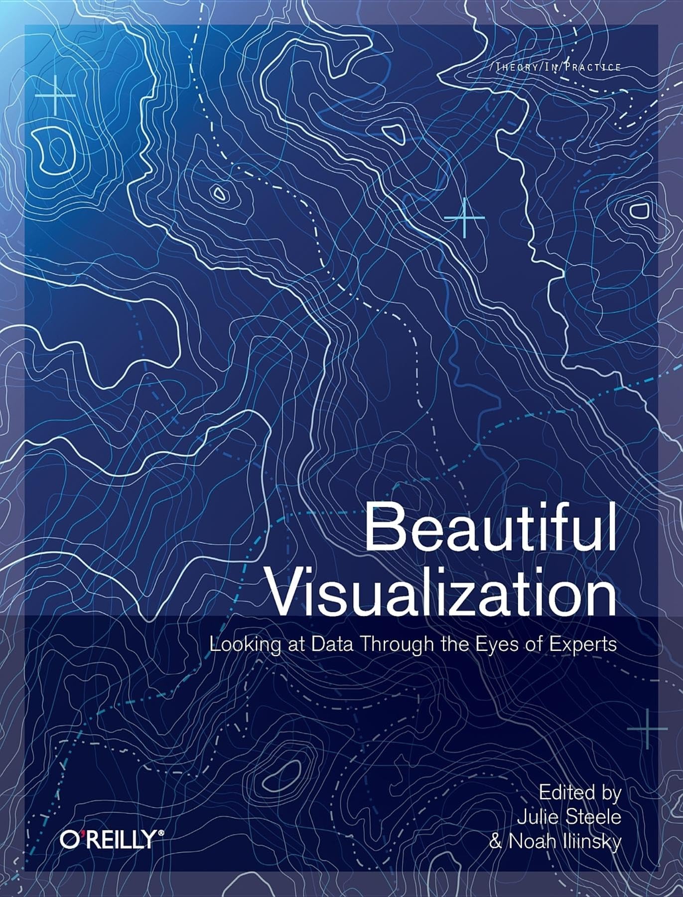 Beautiful Visualization — used book cover