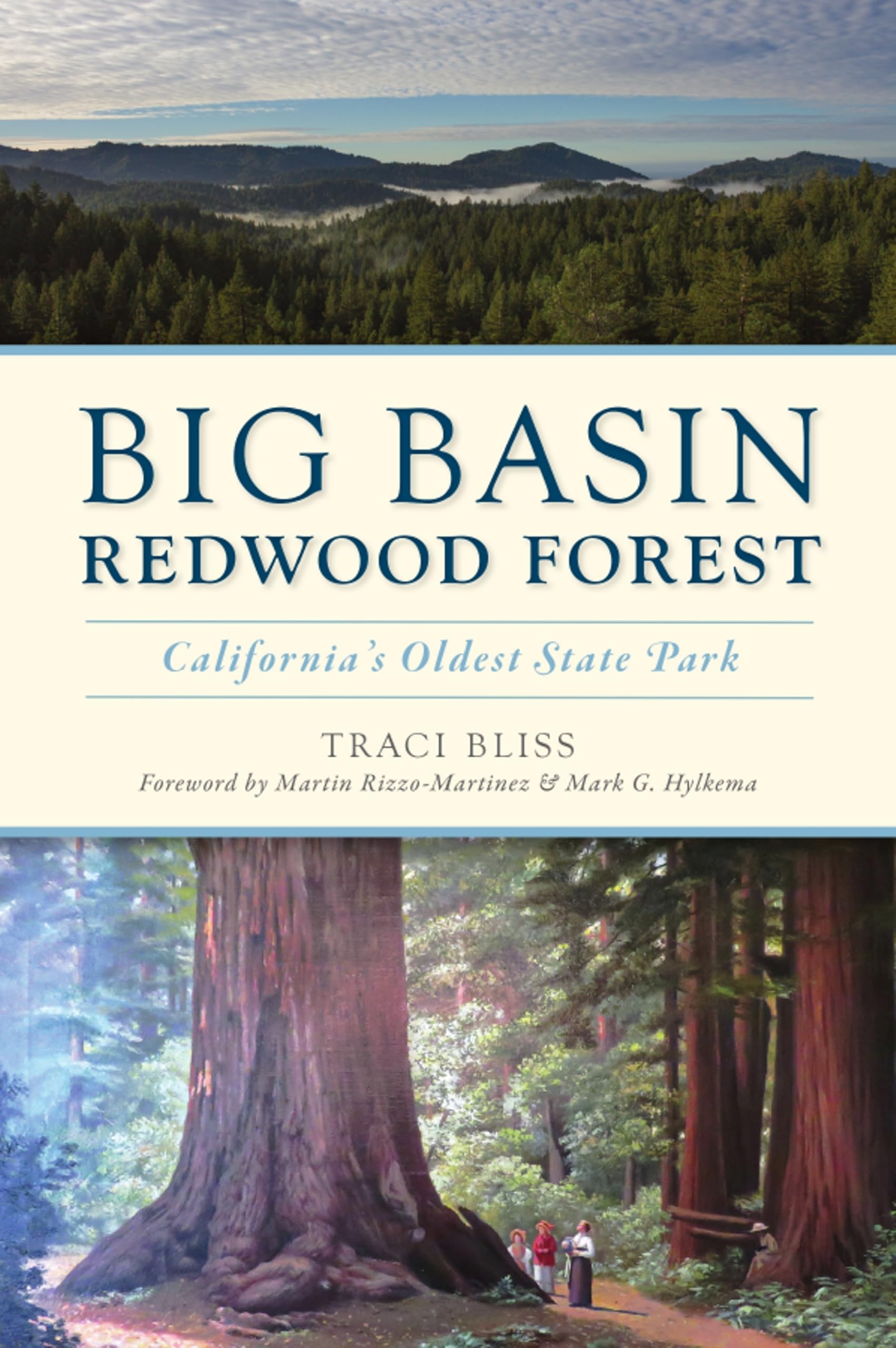 Big Basin Redwood Forest — used book cover