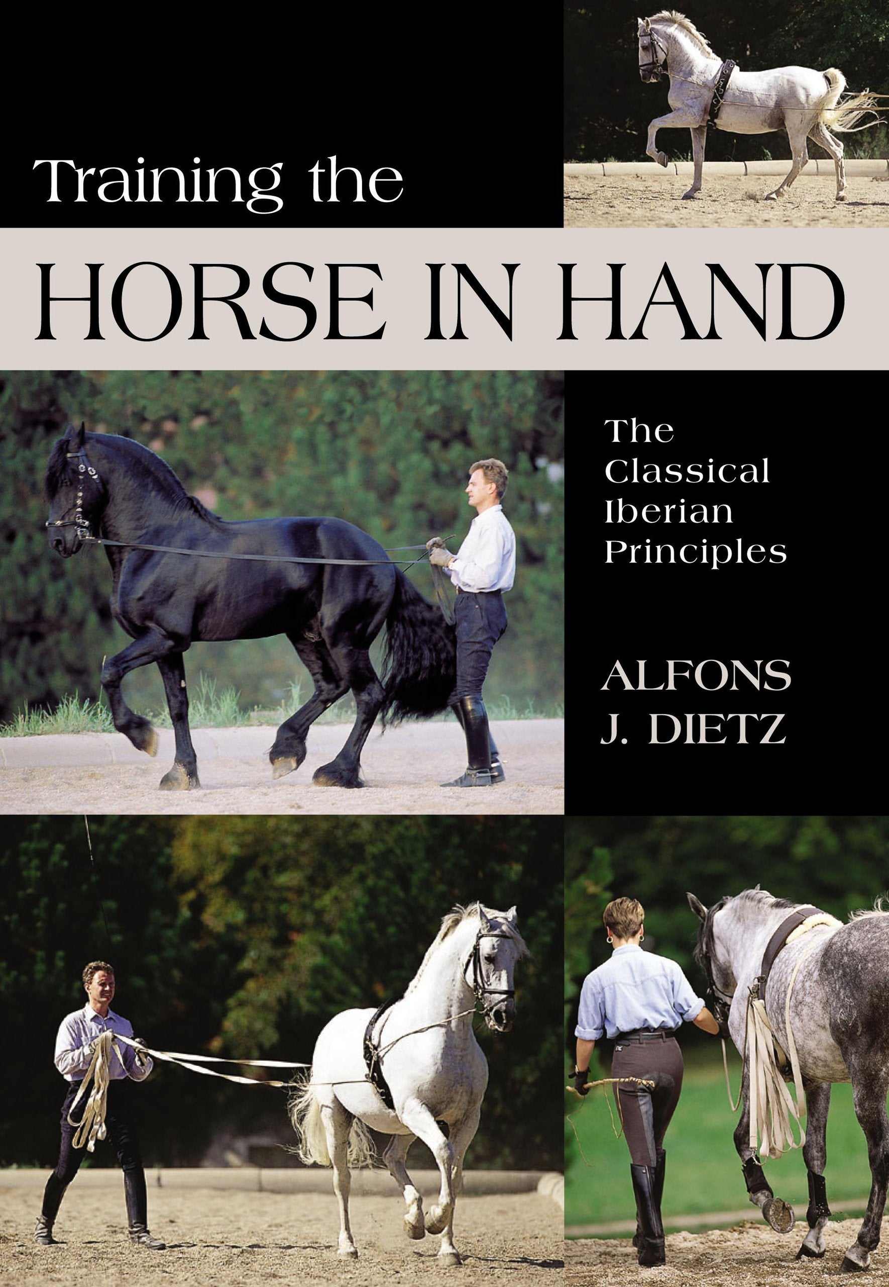 Training The Horse In Hand: The Classical Iberian Principles