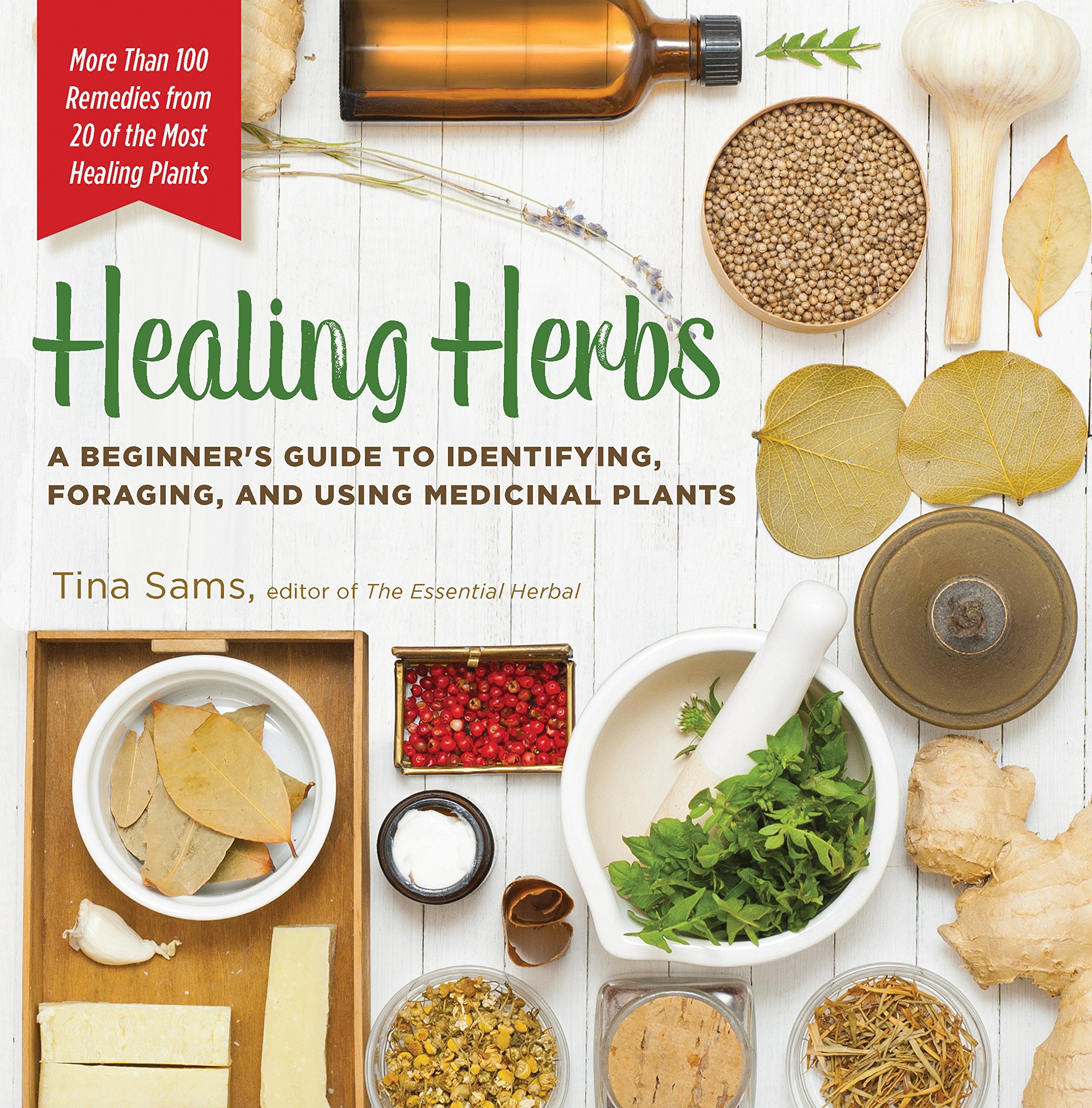 Healing Herbs: A Beginner&