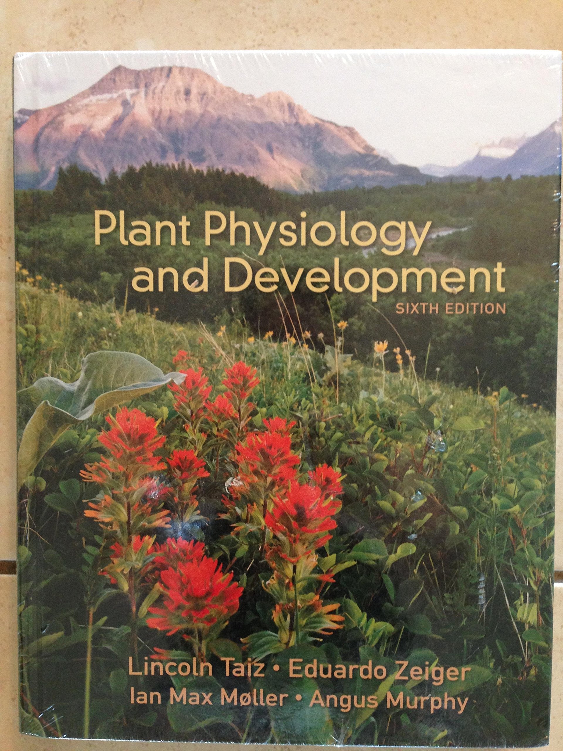 Plant Physiology and Development — used book cover