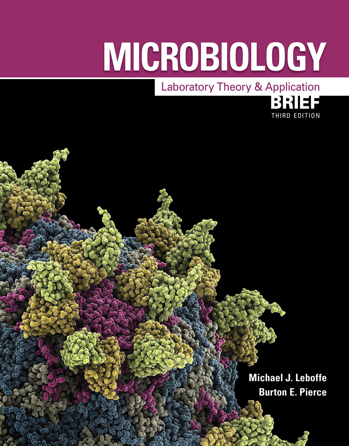 Microbiology: Laboratory Theory & Application, Brief, 3e — used book cover