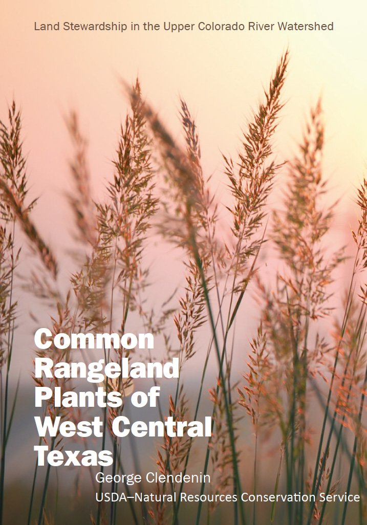 Common Rangeland Plants of West Central Texas
