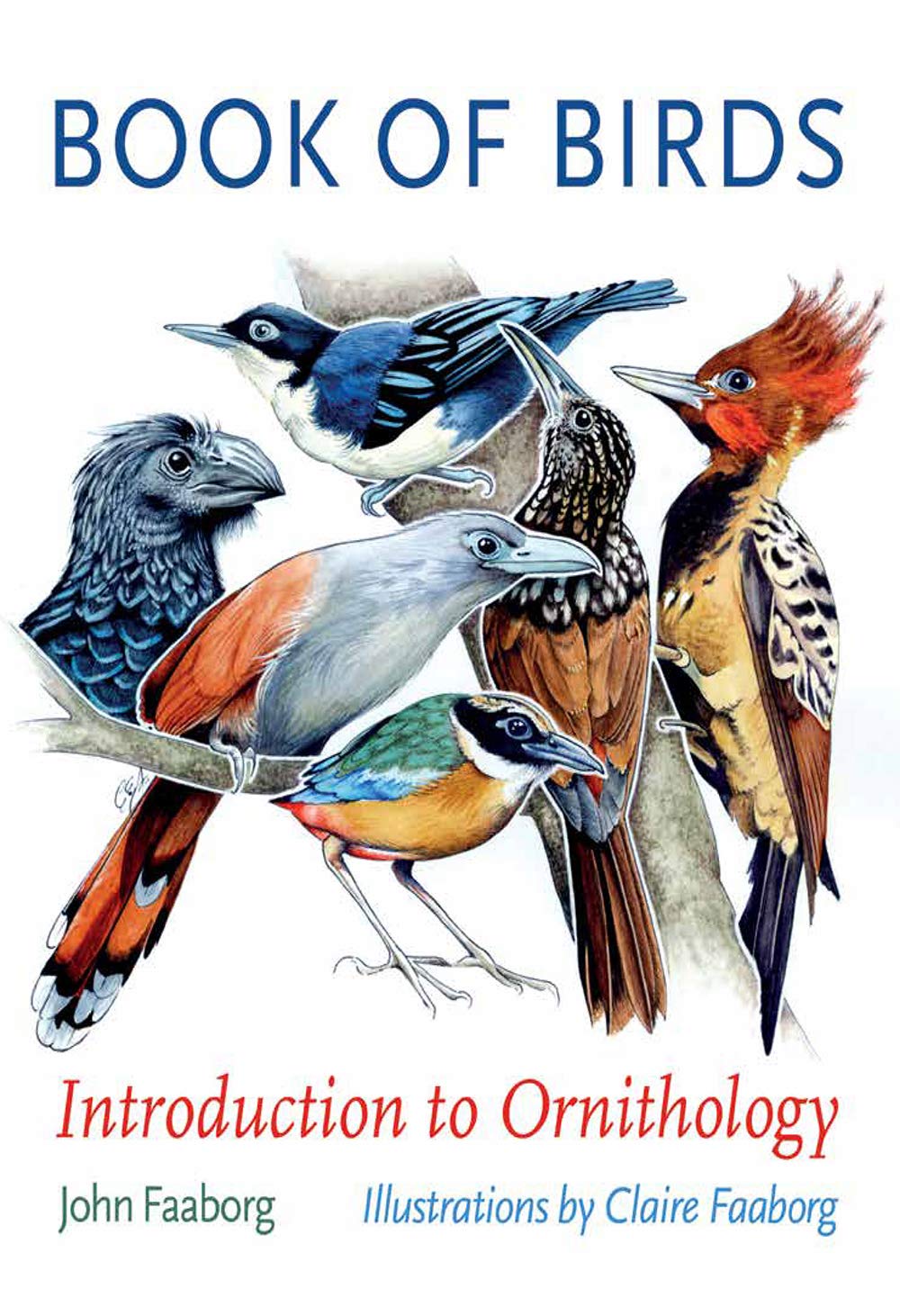 Book of Birds — used book cover