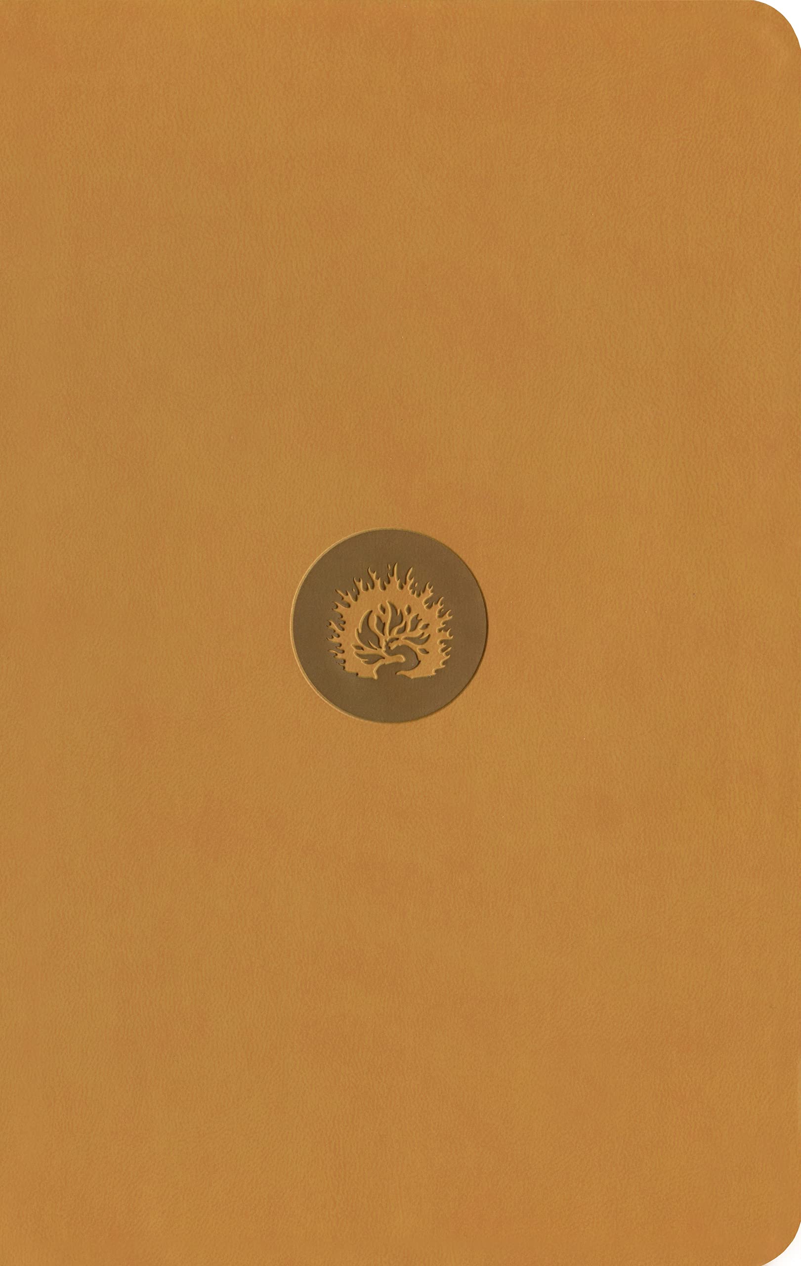 ESV Reformation Study Bible, Student Edition - Marigold, Leather-Like — used book cover