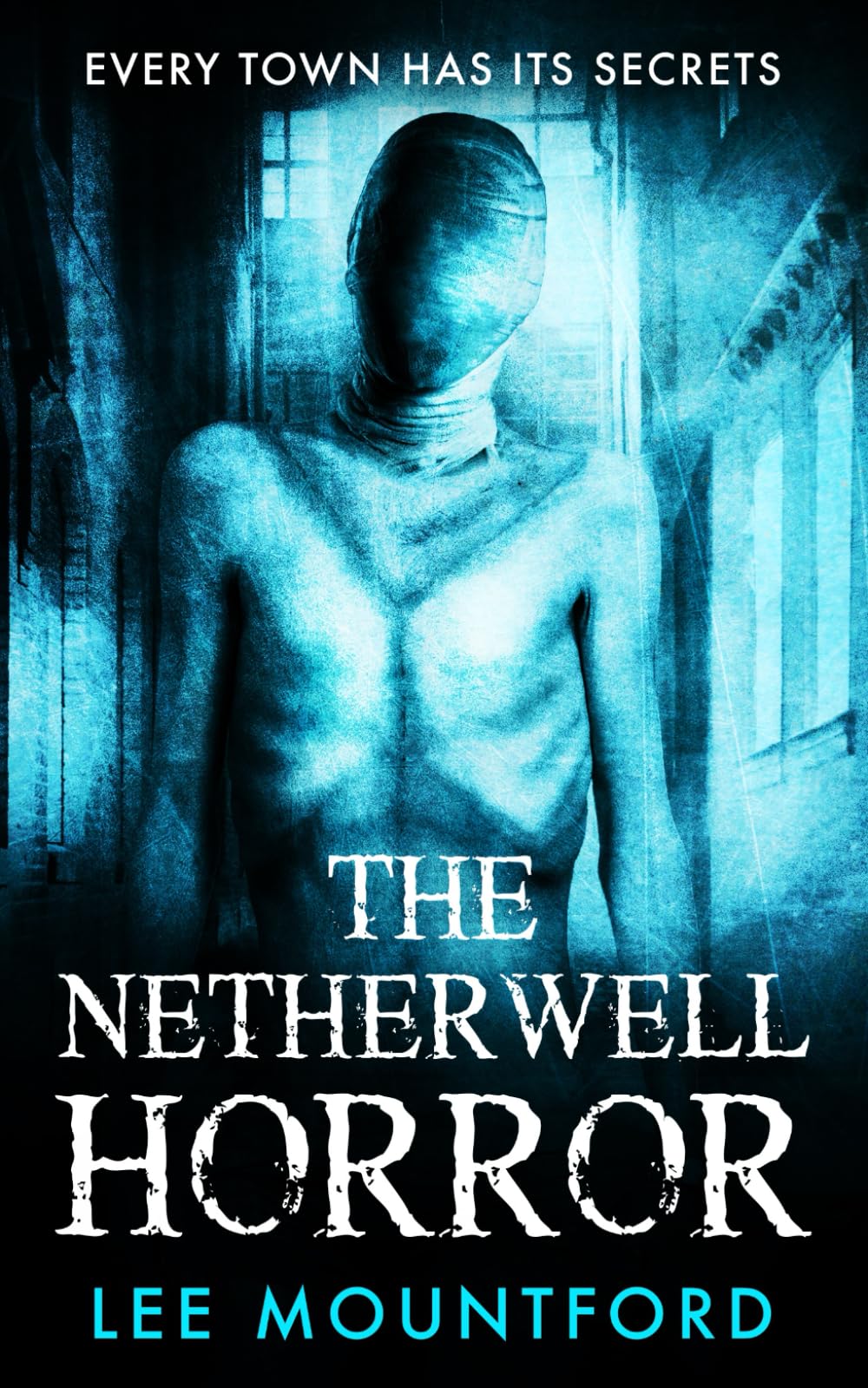 The Netherwell Horror — used book cover