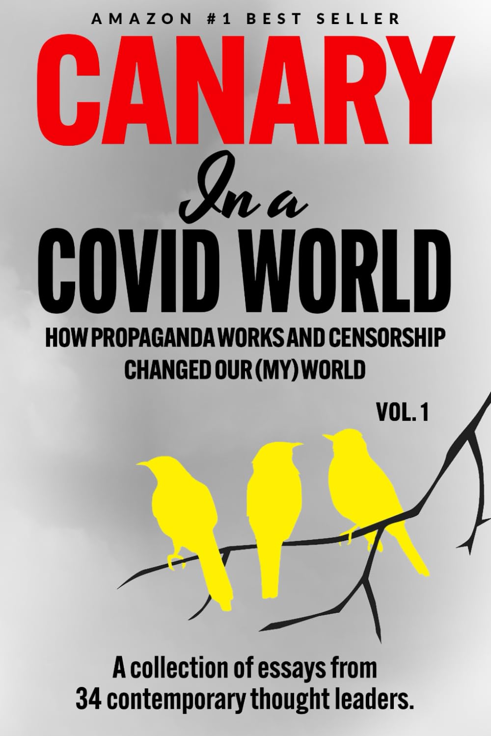 Canary In a Covid World — used book cover
