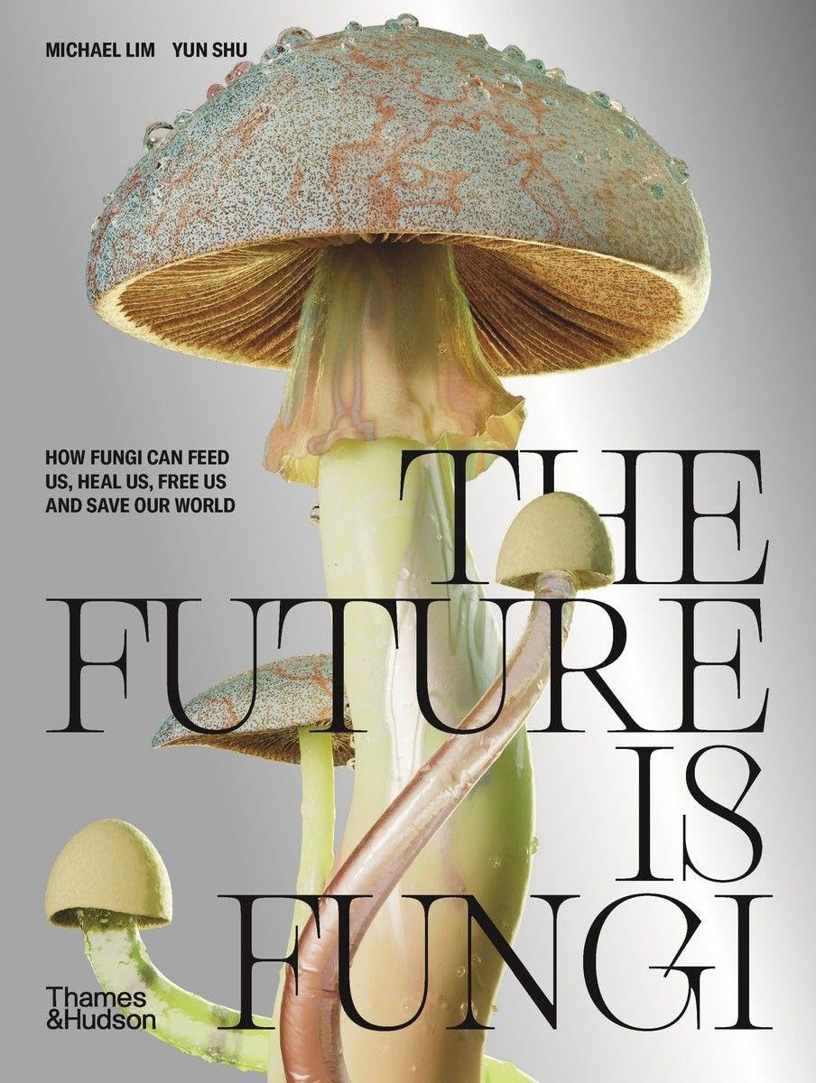 The Future is Fungi How Fungi Can Feed Us, Heal Us, Free Us and Save Our World /anglais