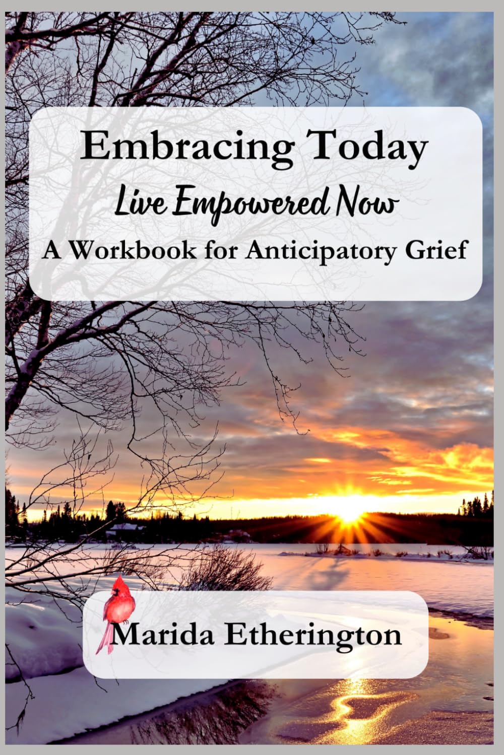 Embracing Today: Live Empowered Now!: A Workbook for Anticipatory Grief — used book cover