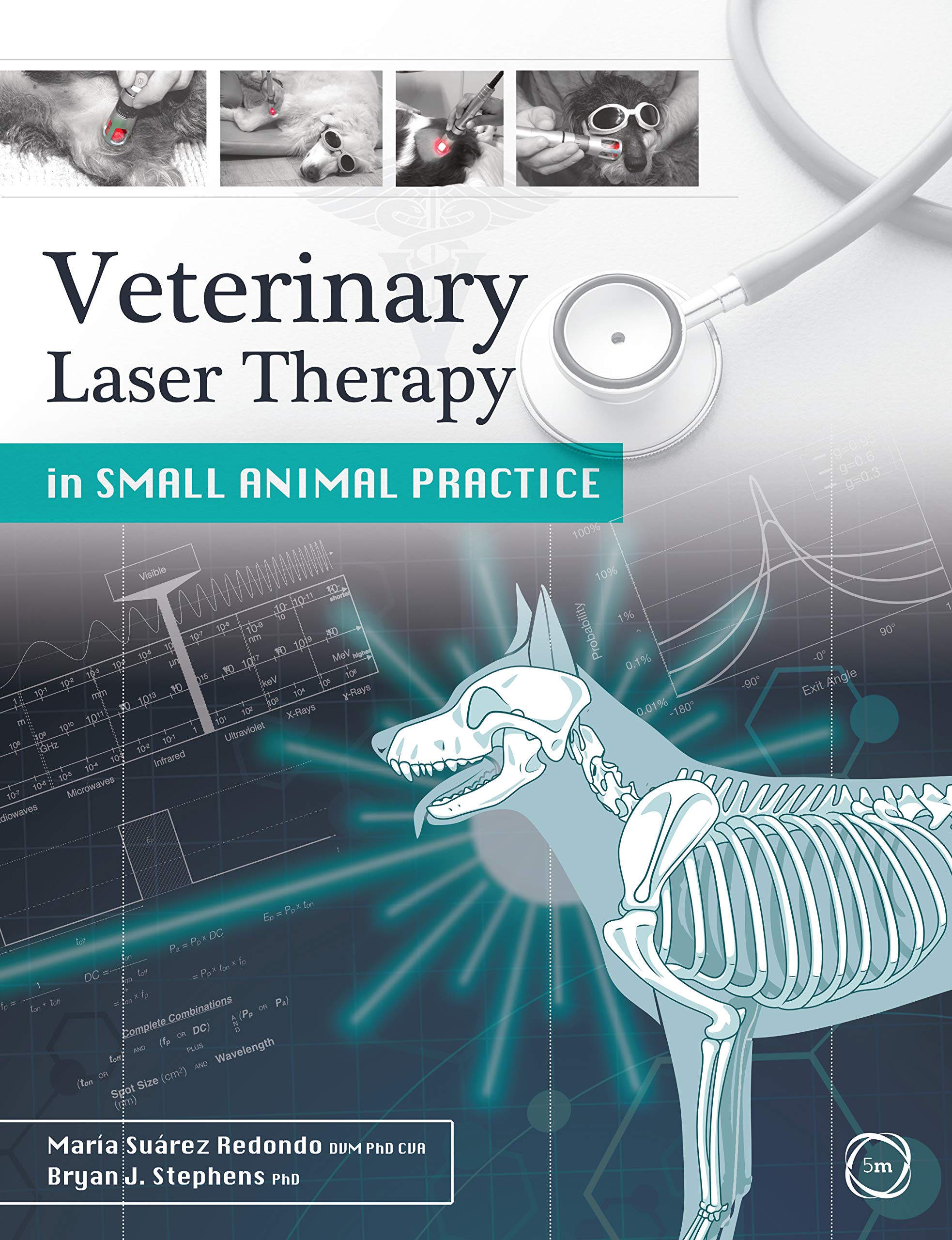 Veterinary Laser Therapy in Small Animal Practice — used book cover