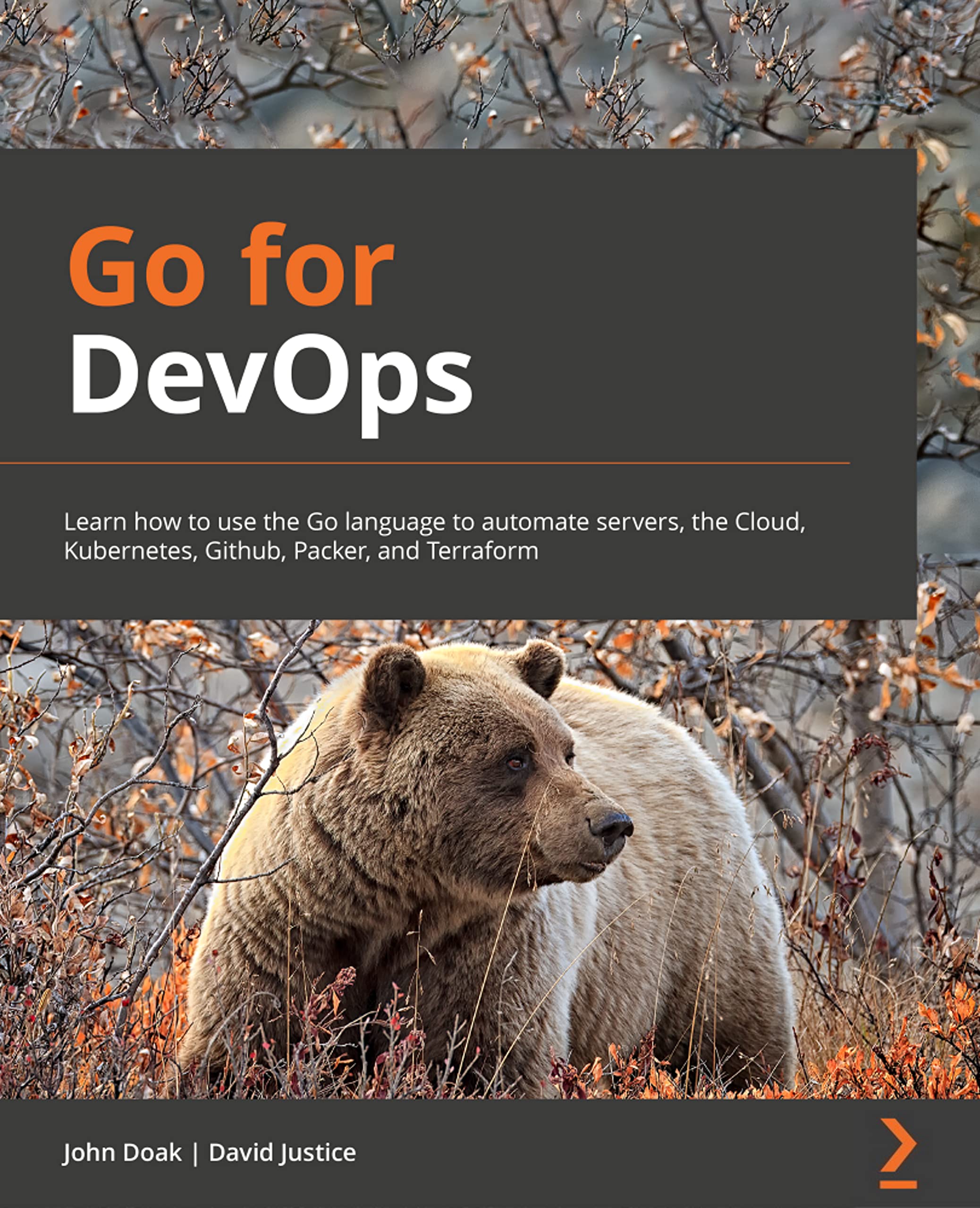 Go for DevOps — used book cover