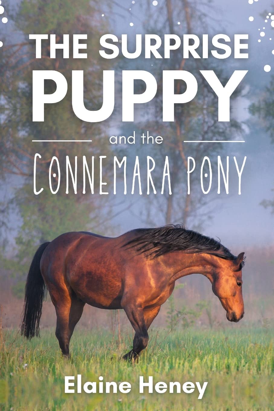 The Surprise Puppy and the Connemara Pony - The Coral Cove Horses Series — used book cover