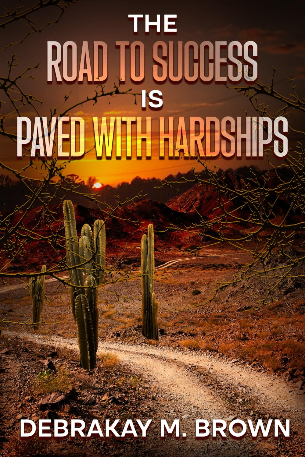 The Road to Success Is Paved with Hardships — used book cover