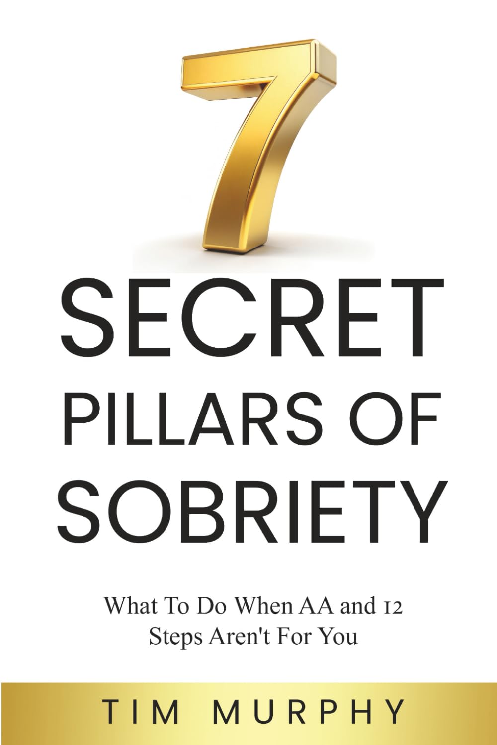 7 SECRET PILLARS OF SOBRIETY — used book cover