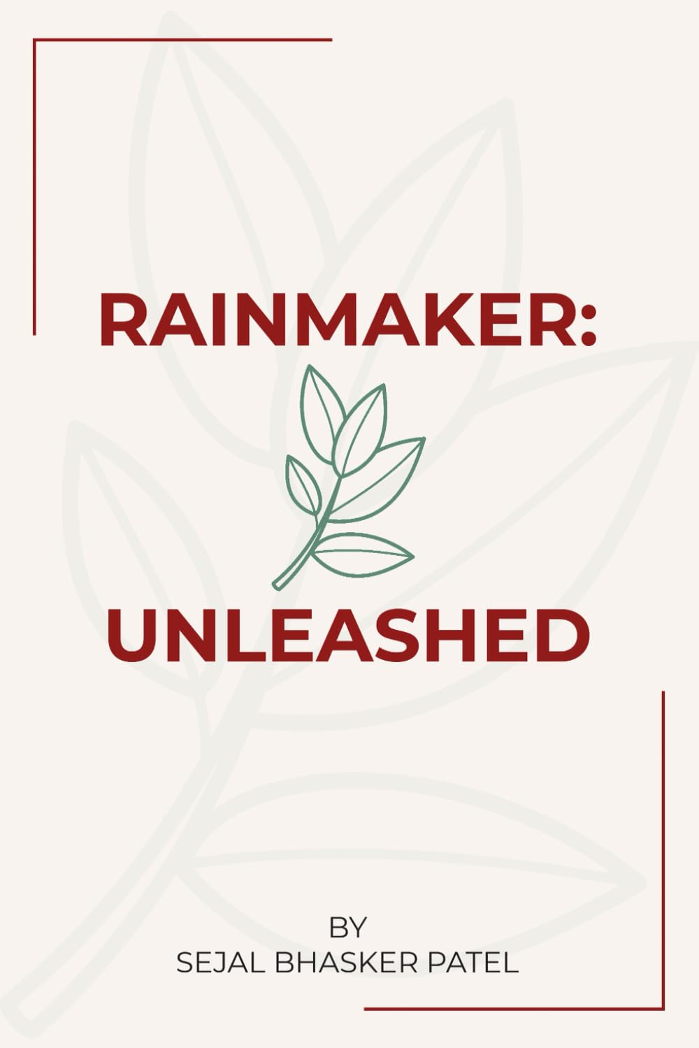 Rainmaker: Unleashed — used book cover