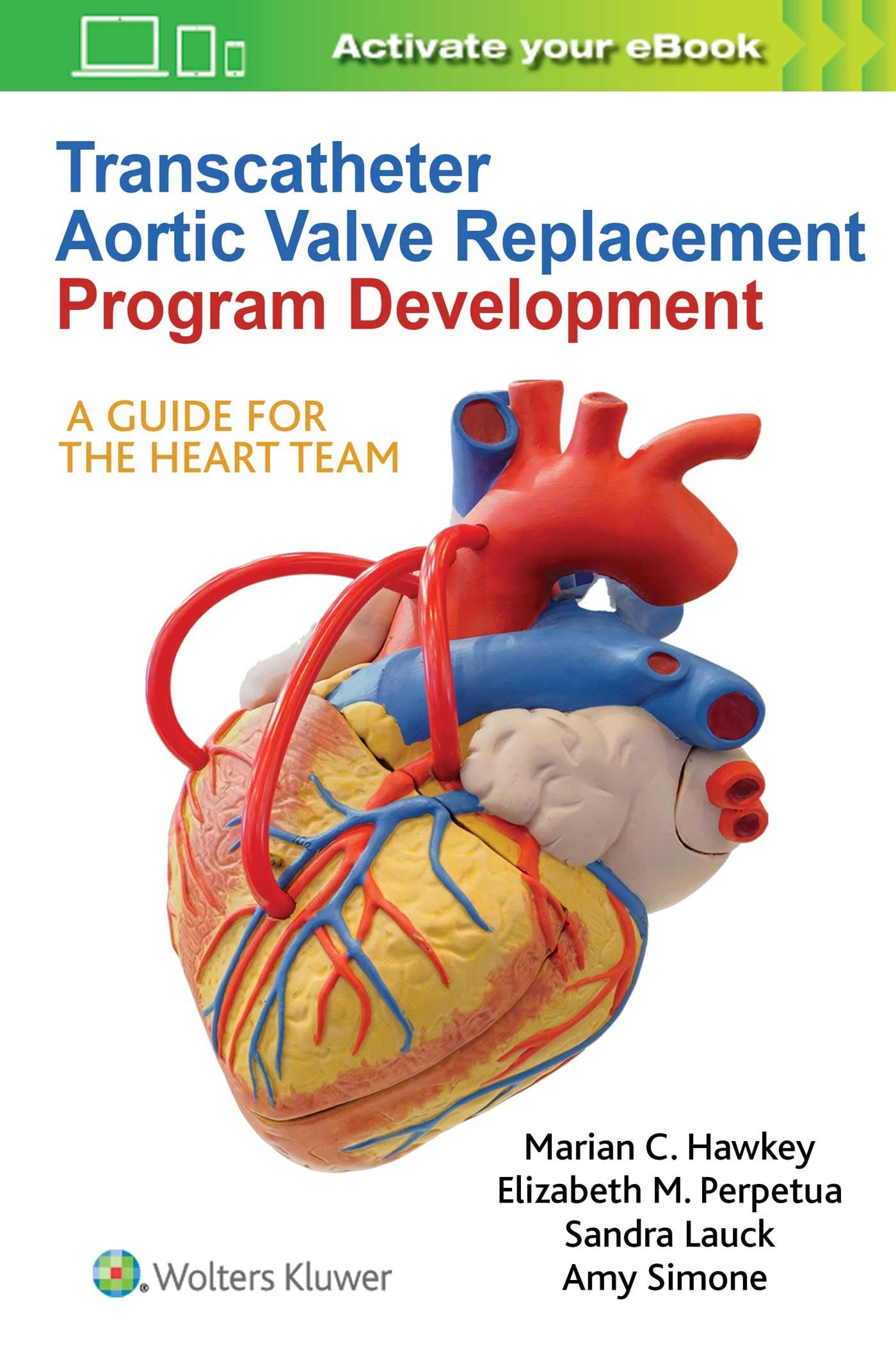 Transcatheter Aortic Valve Replacement Program Development — used book cover