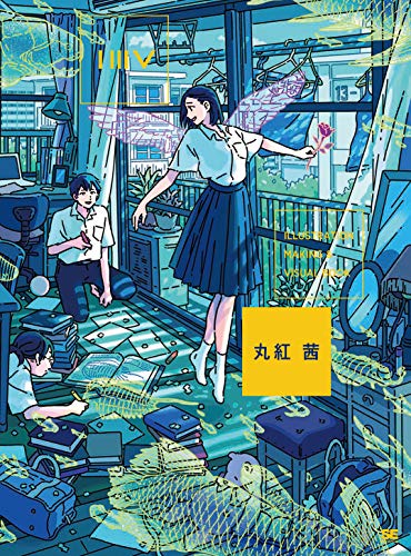 ILLUSTRATION MAKING & VISUAL BOOK series — used book cover