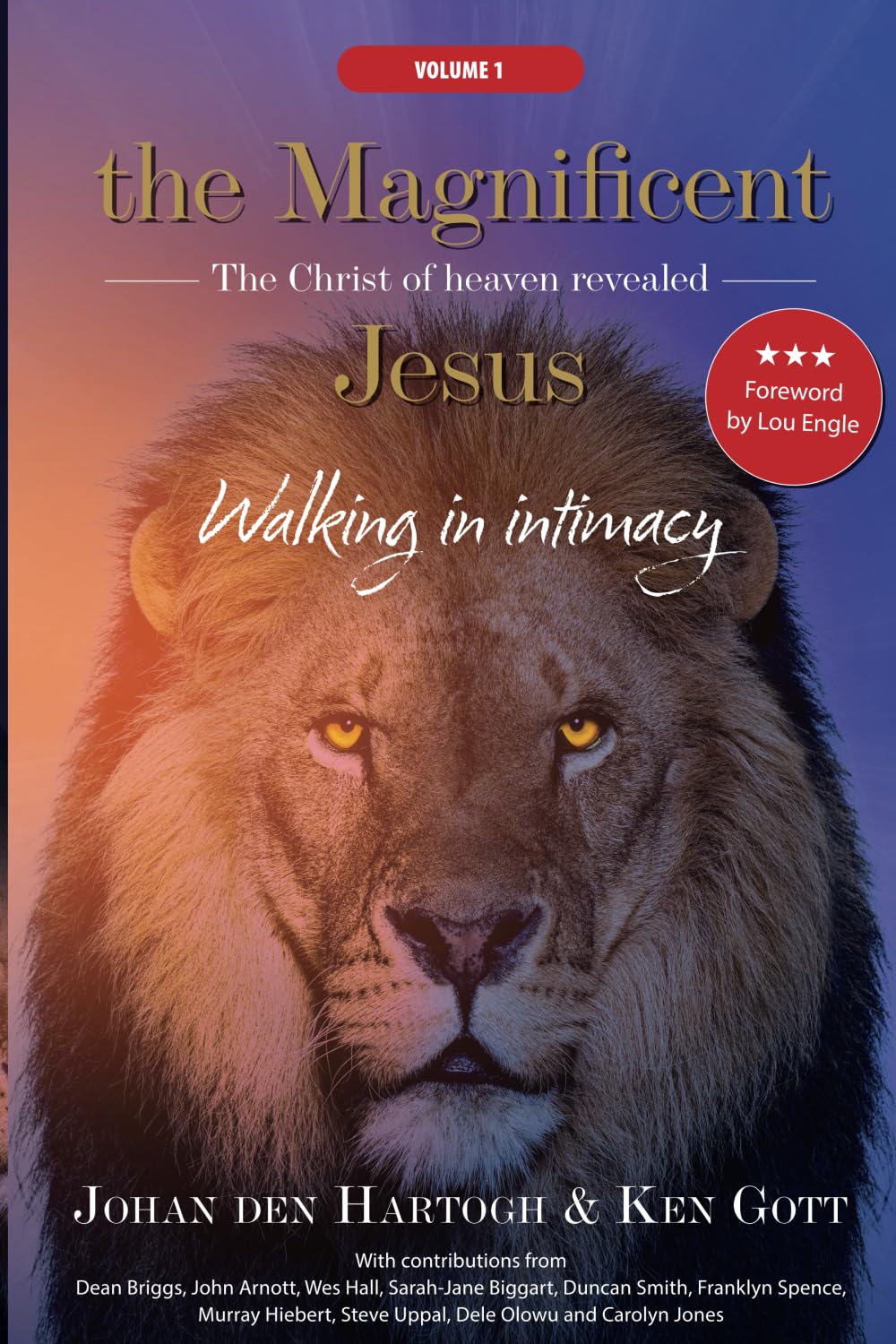 The Magnificent Jesus — used book cover