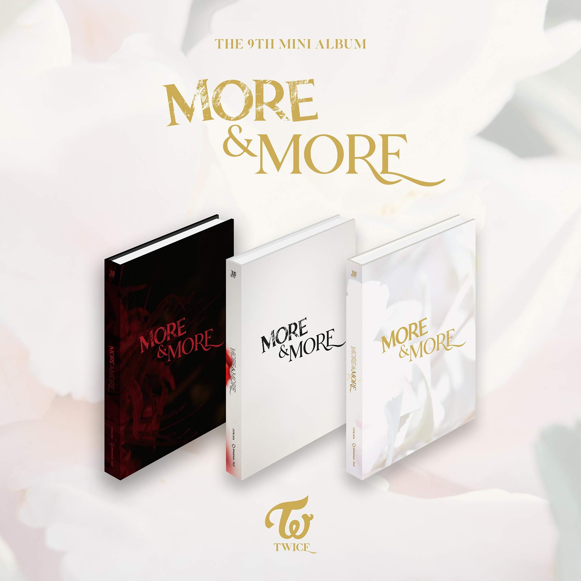 More & More (Random Cover) — used book cover