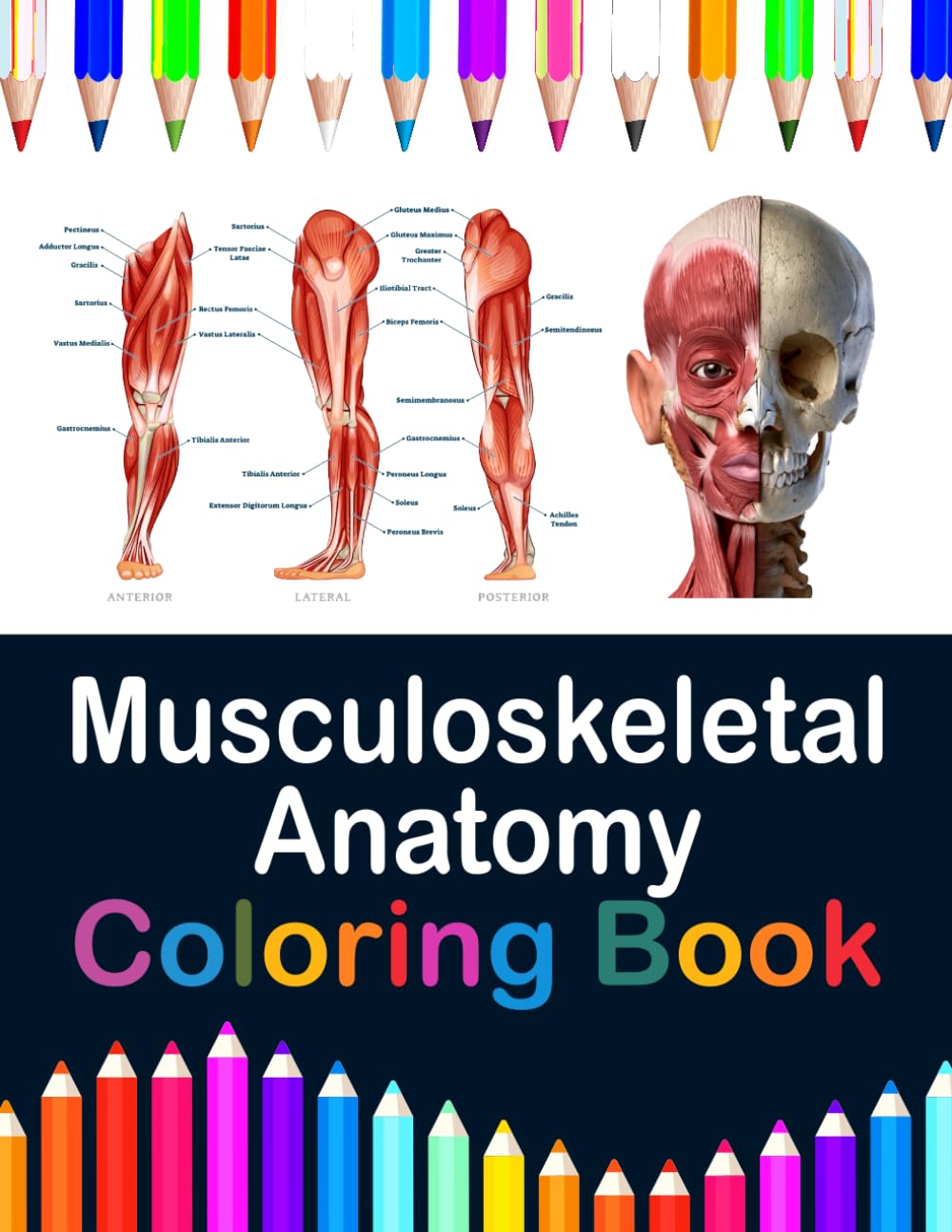 Musculoskeletal Anatomy Coloring Book — used book cover