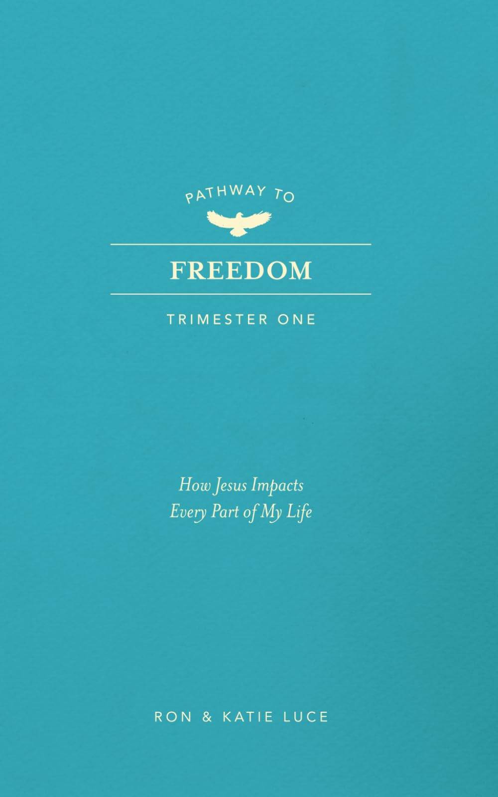 PATHWAY TO FREEDOM — used book cover