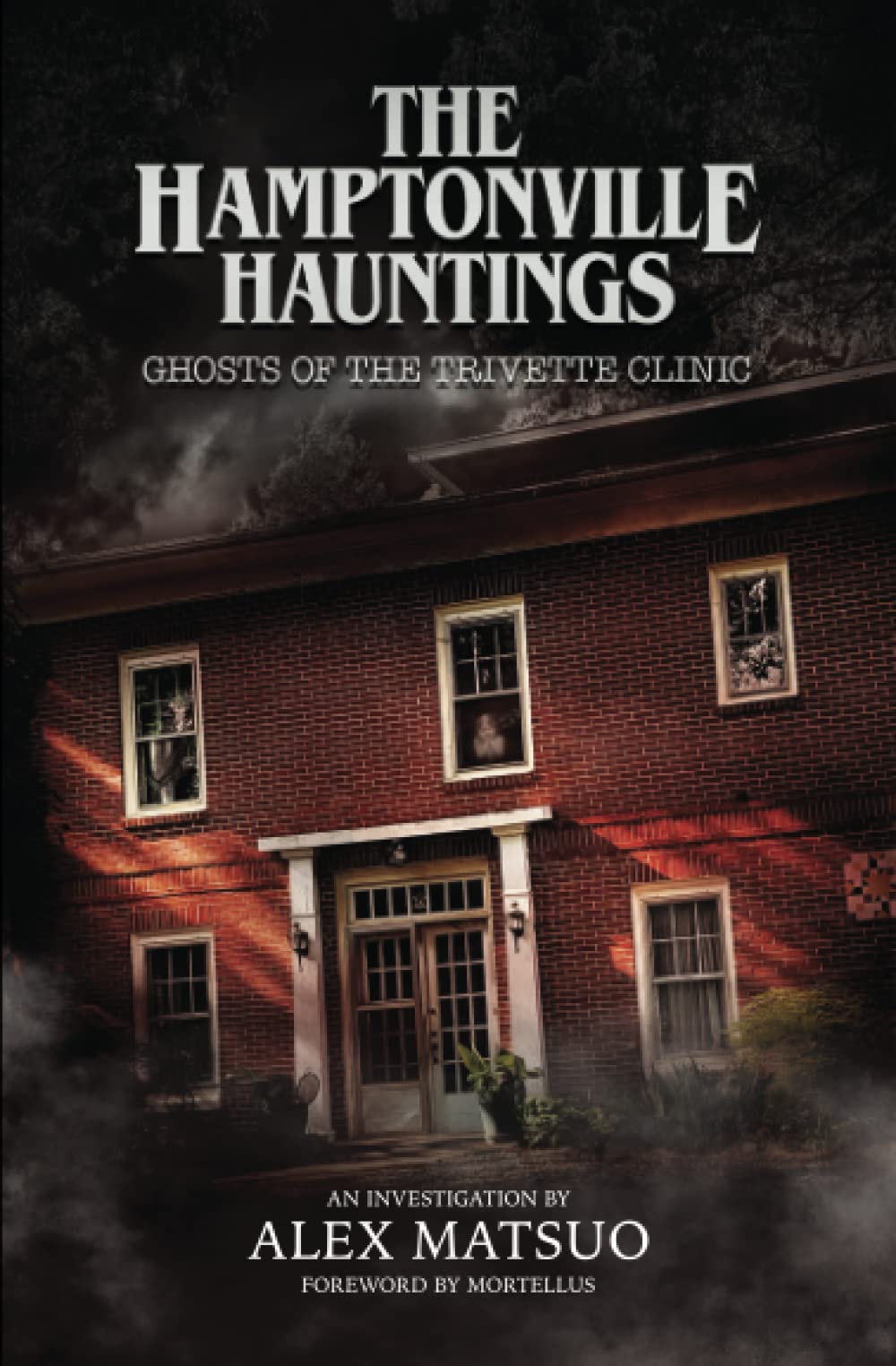 The Hamptonville Hauntings — used book cover