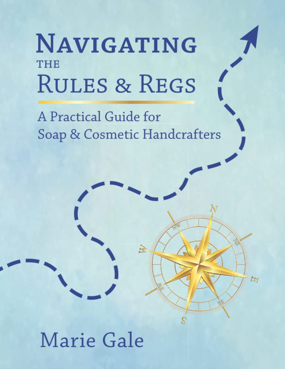 Navigating the Rules and Regs — used book cover