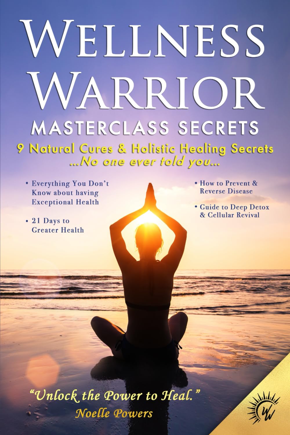 WELLNESS WARRIOR MASTERCLASS SECRETS — used book cover