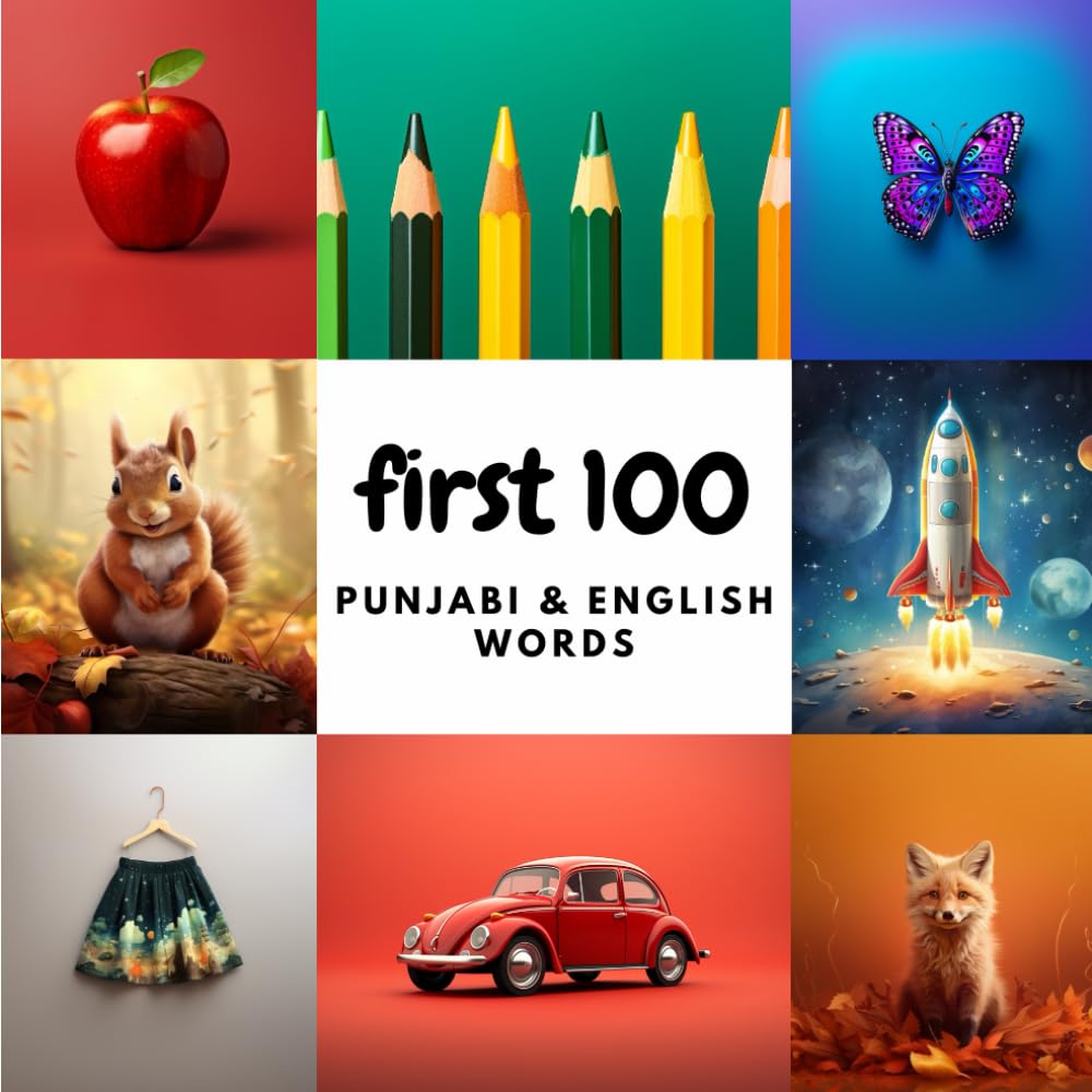 First 100 Punjabi & English Words (Learn Punjabi)